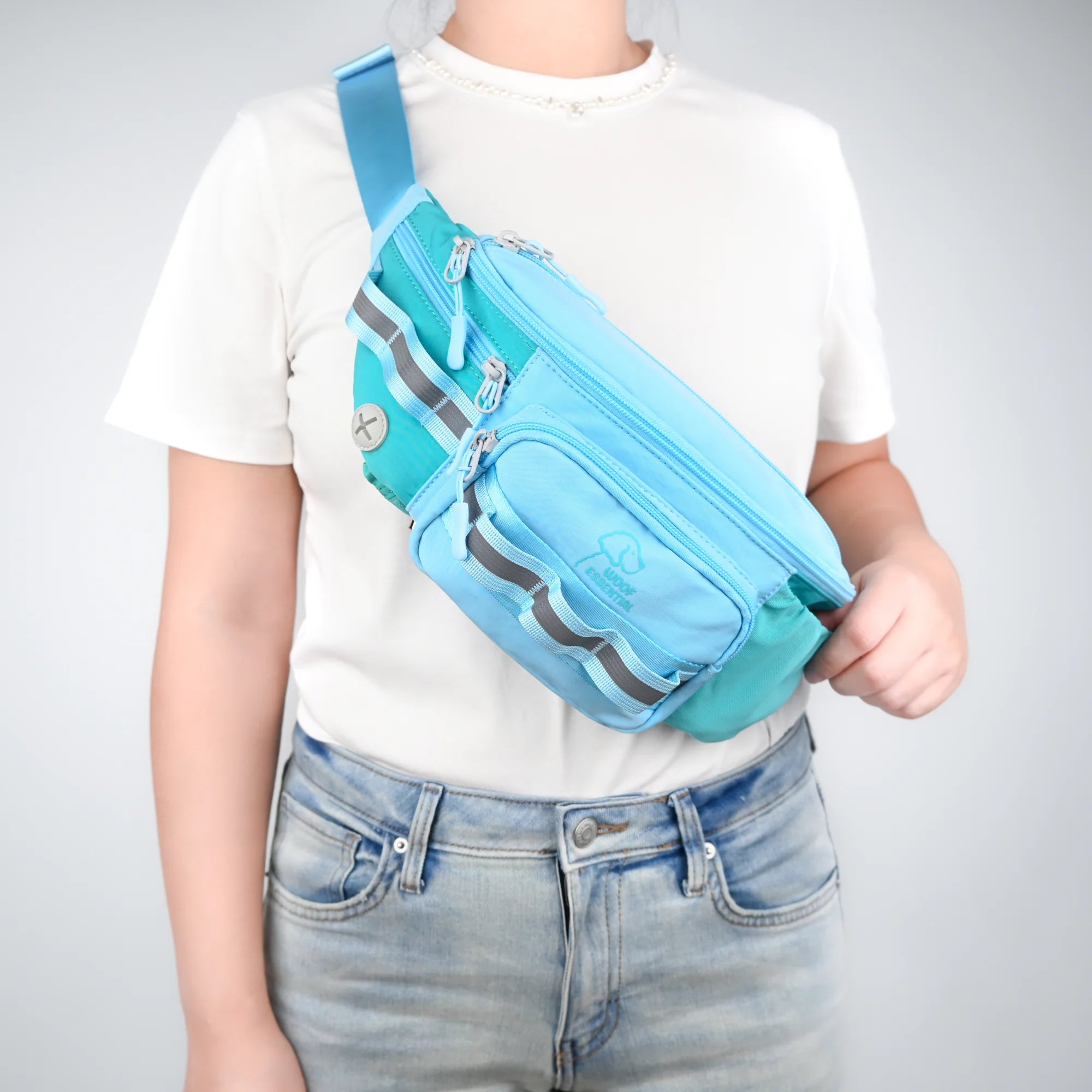 Walk’n Wag Hip Pack V2- WOOFESSENTIAL