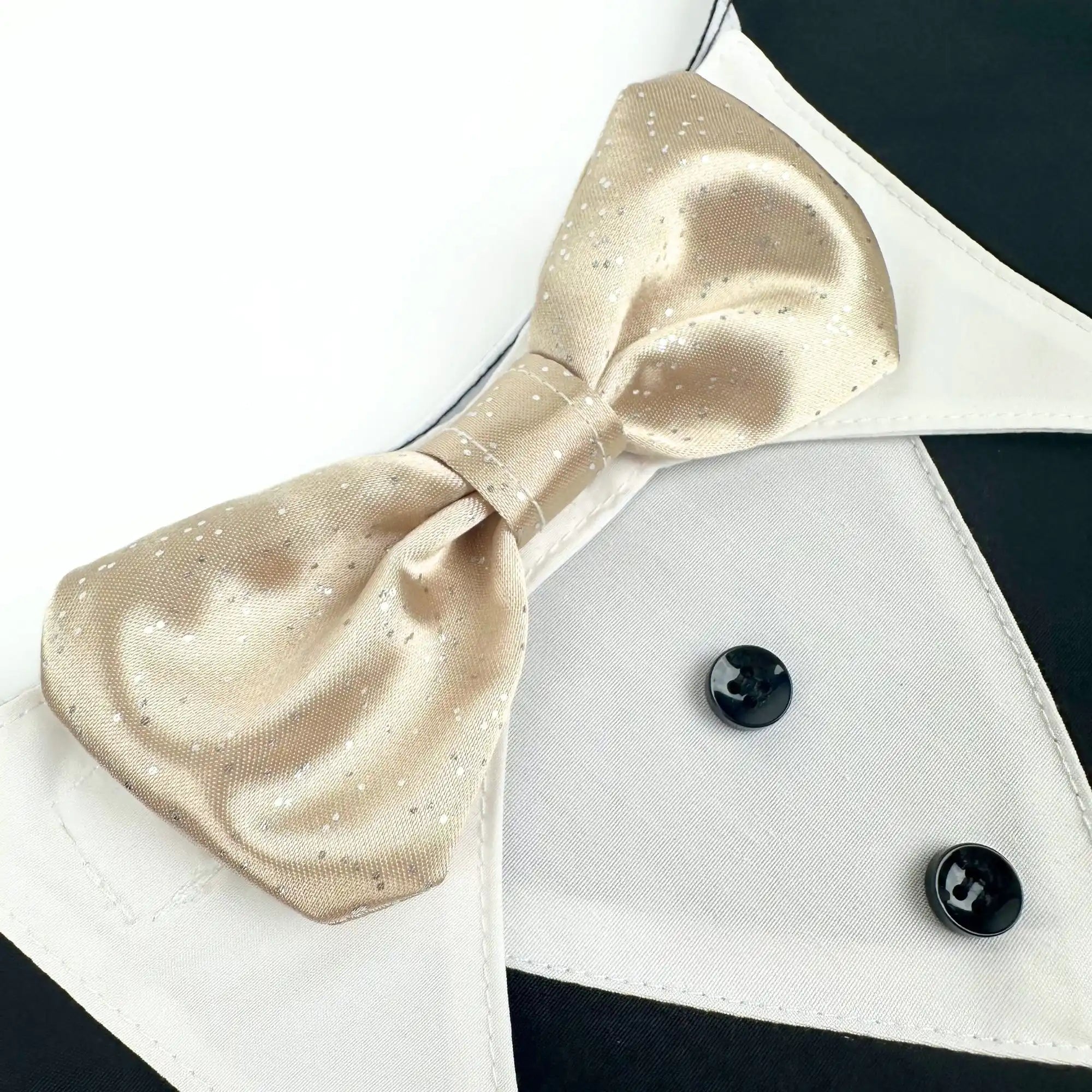 Switch-a-bow Tuxedo Bandana Set