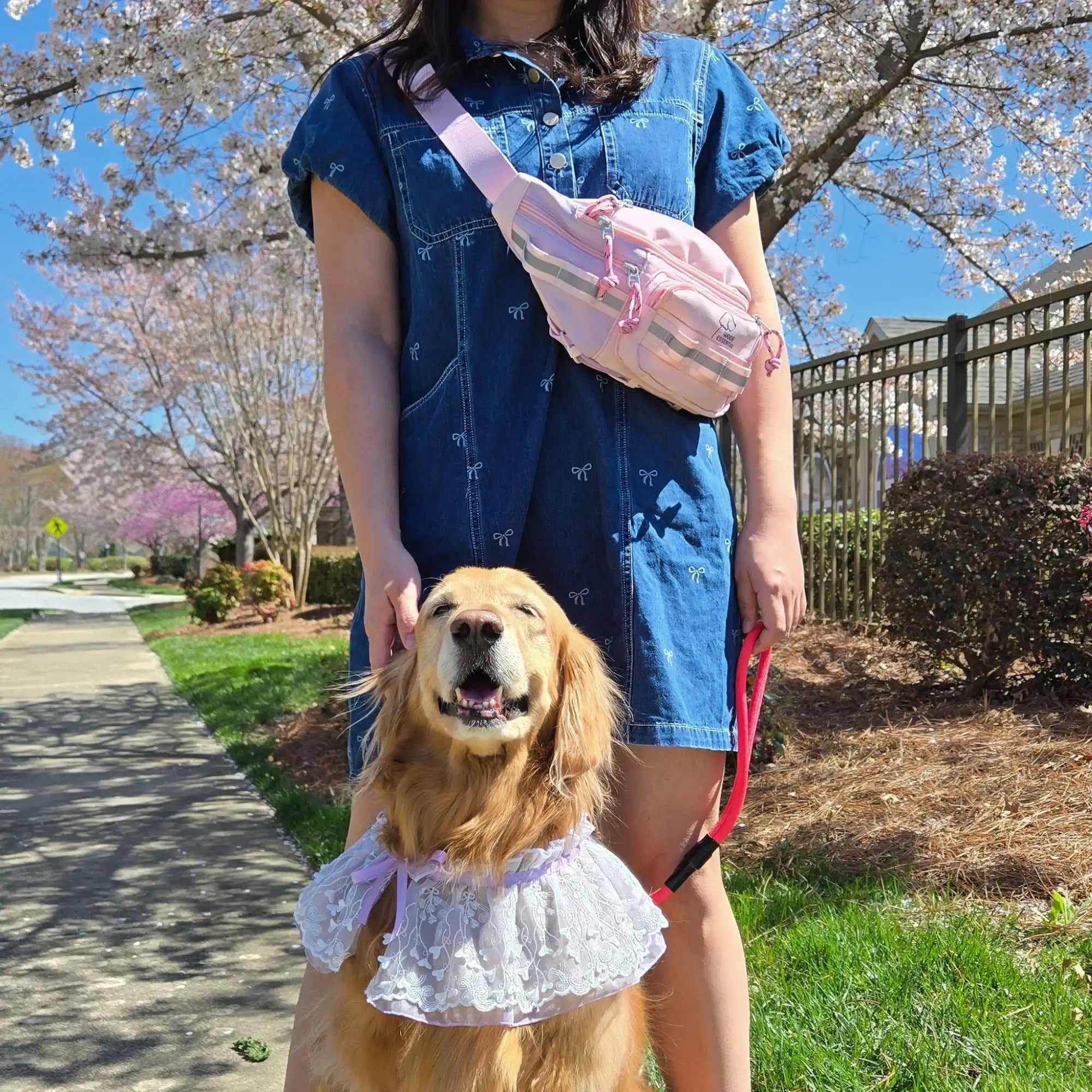 Walk’n Wag Hip Pack - WOOFESSENTIAL
