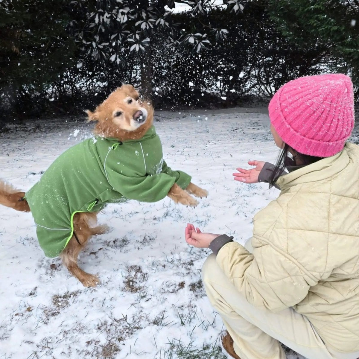 Dog in the Weald fleece playing in the snow with its owner in a pink beanie
