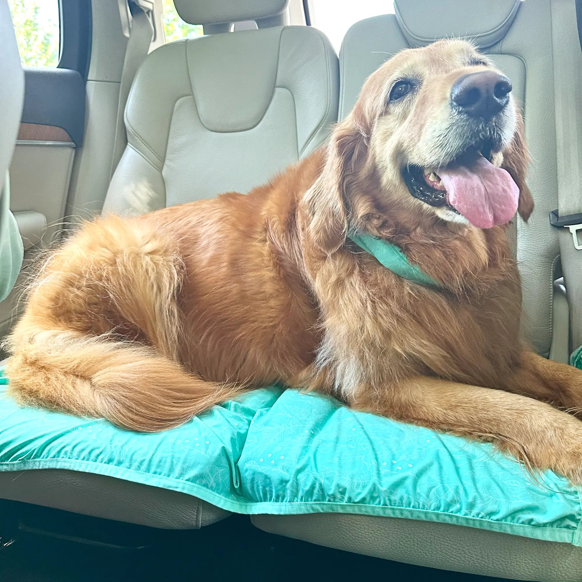 coolingpals dog cooling sheet - WOOFESSENTIAL