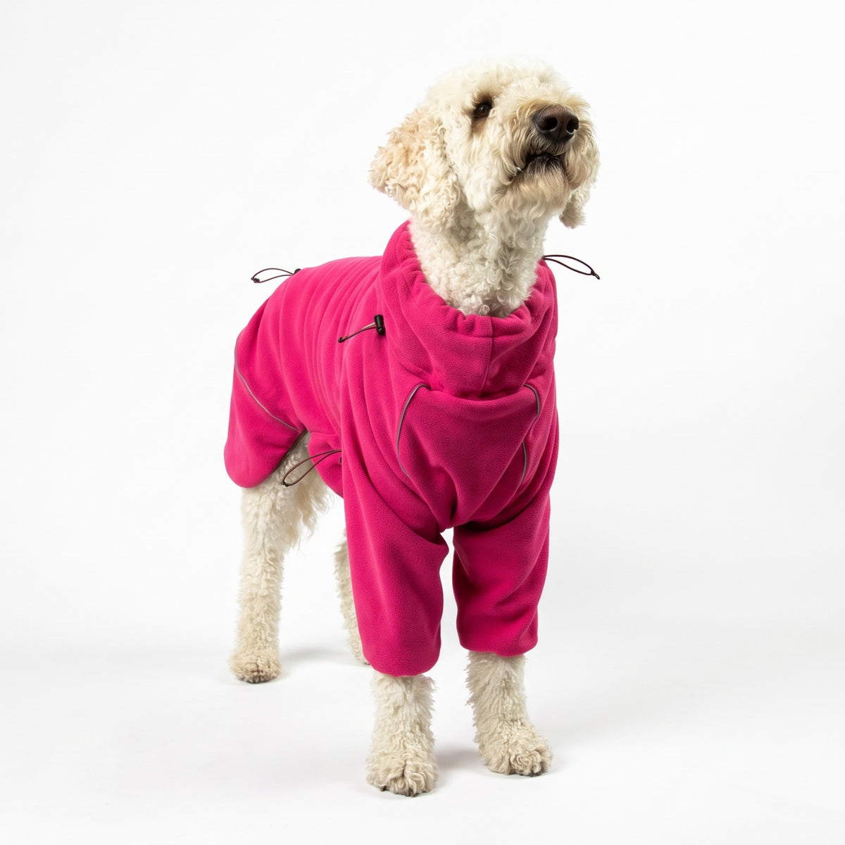 Doodle standing in the Blossom Cozy Hugger fleece jacket, front three-quarter view