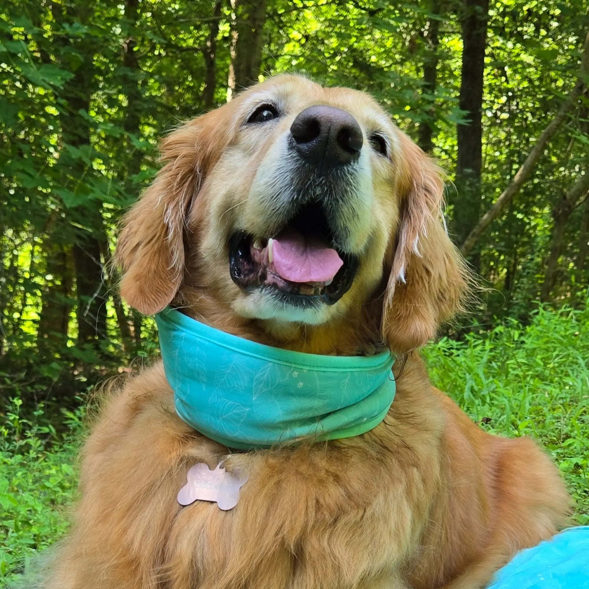 coolingpals dog cooling neck gaiter - WOOFESSENTIAL