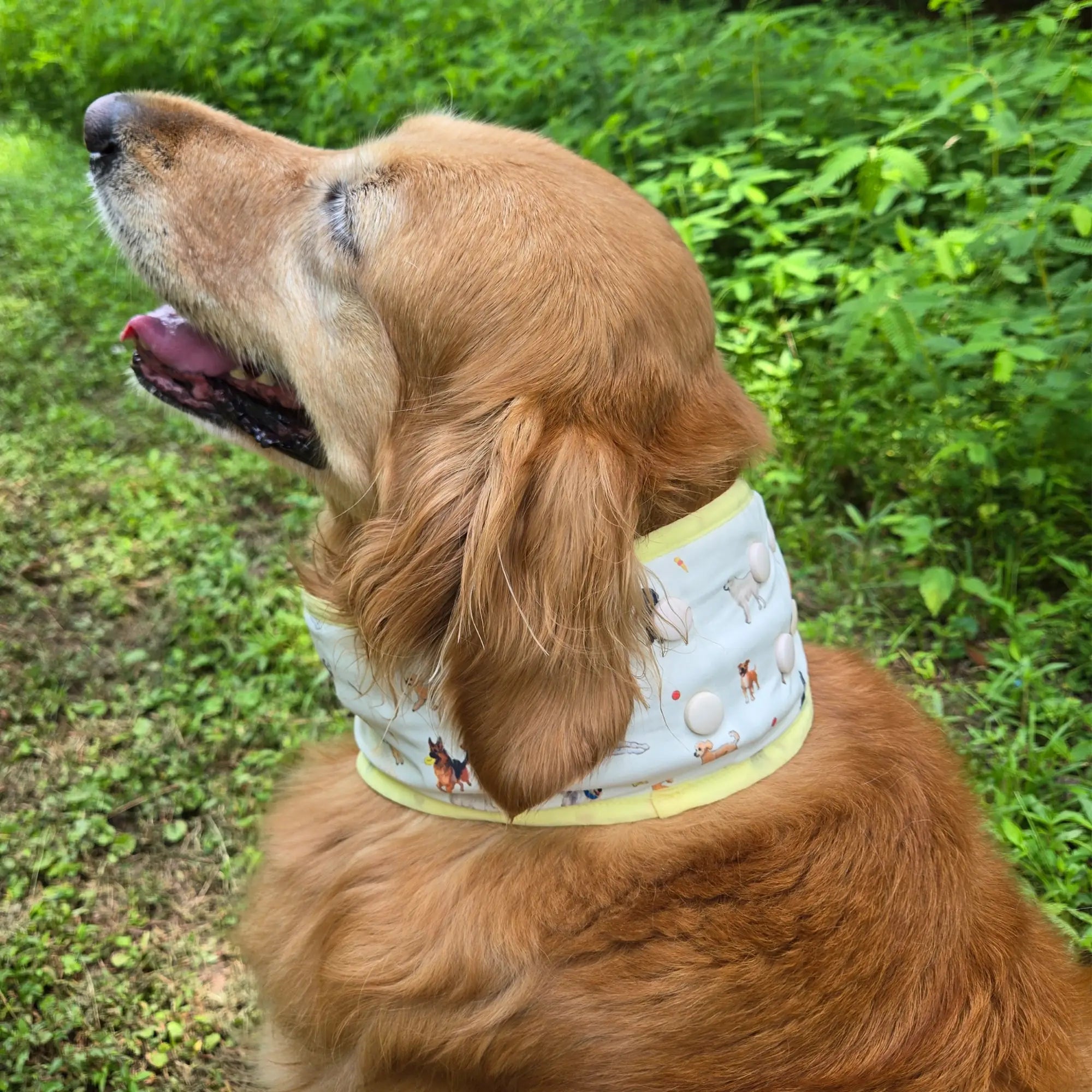 coolingpals dog cooling neck gaiter - WOOFESSENTIAL
