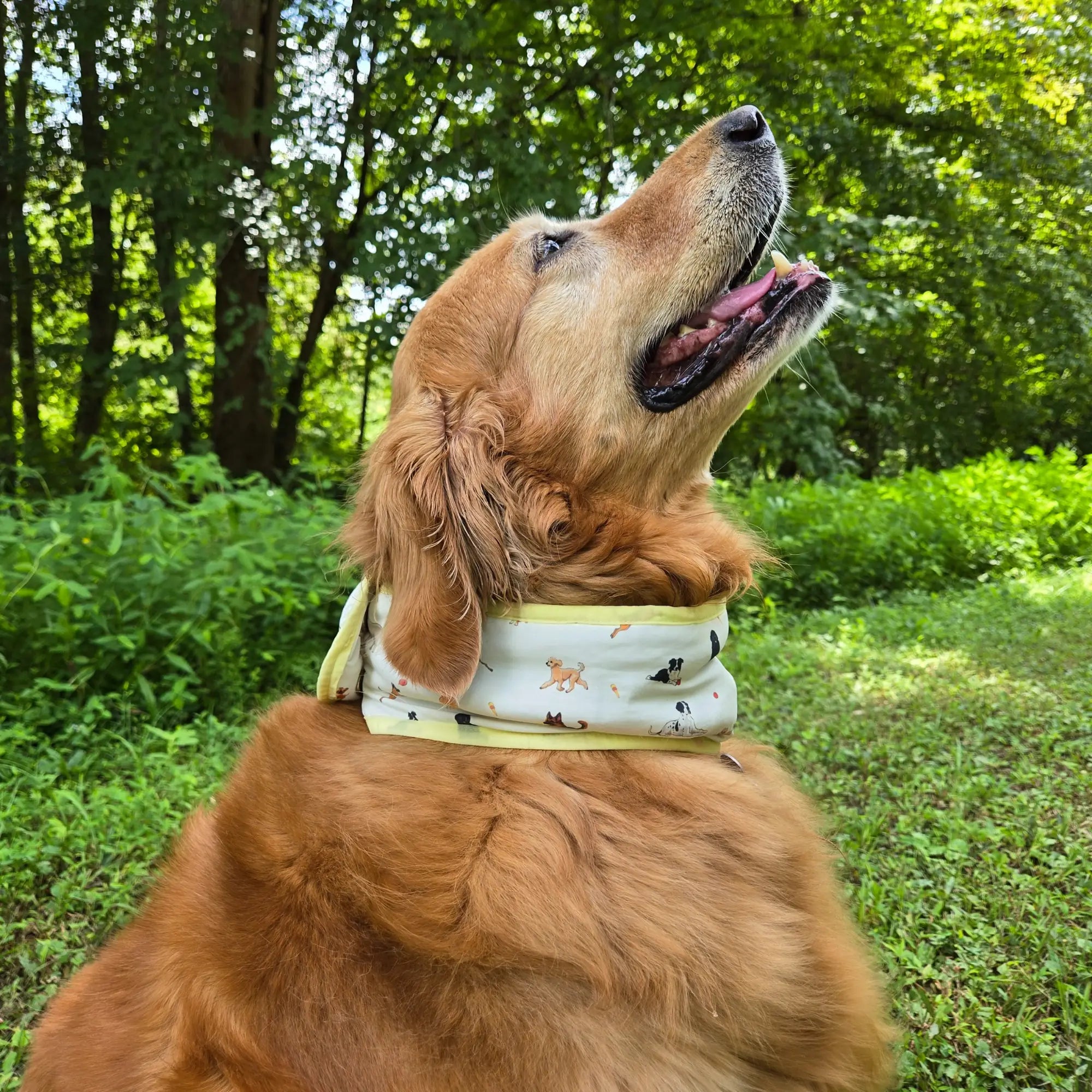 coolingpals dog cooling neck gaiter - WOOFESSENTIAL