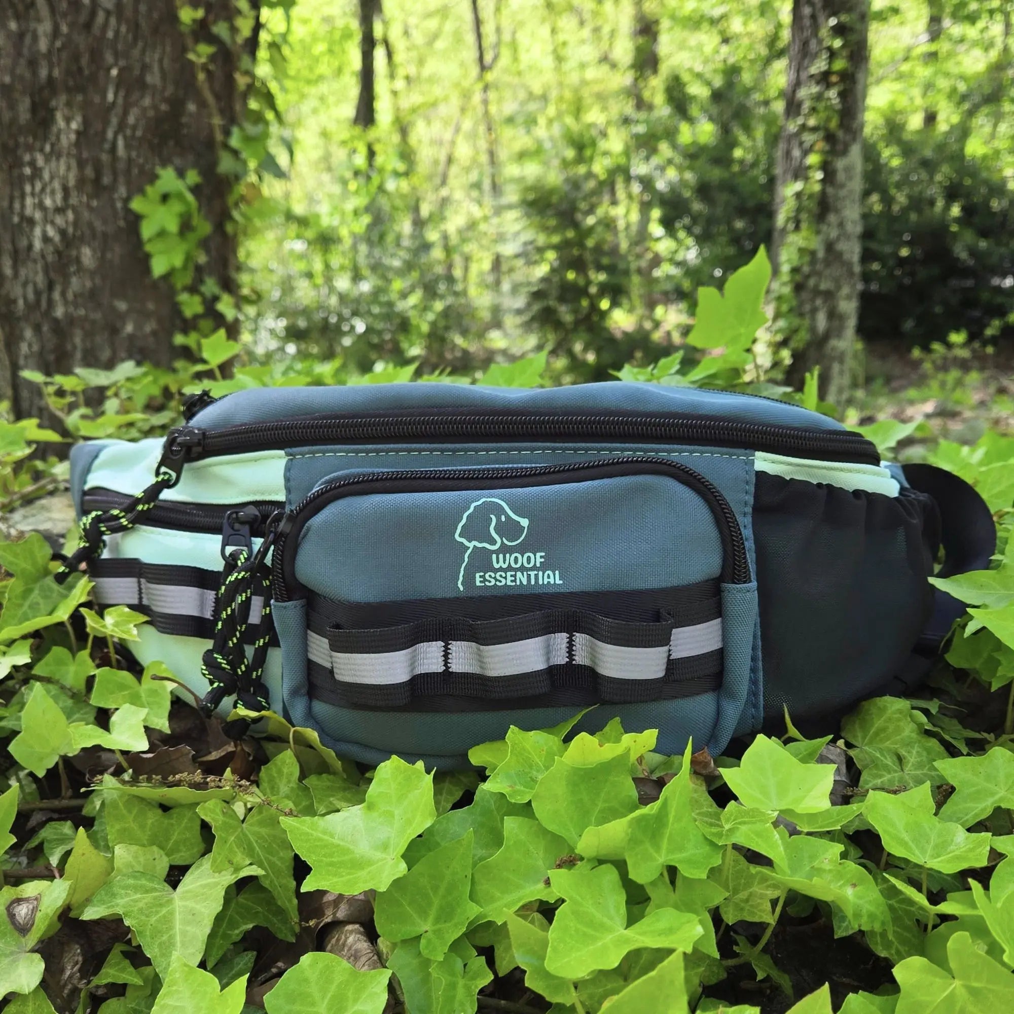 Walk’n Wag Hip Pack - WOOFESSENTIAL