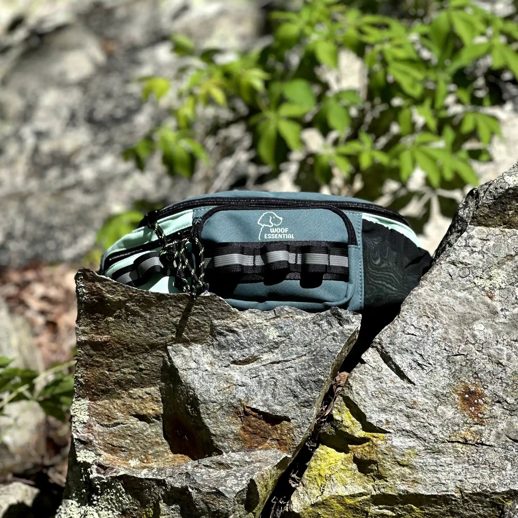Walk’n Wag Hip Pack - WOOFESSENTIAL