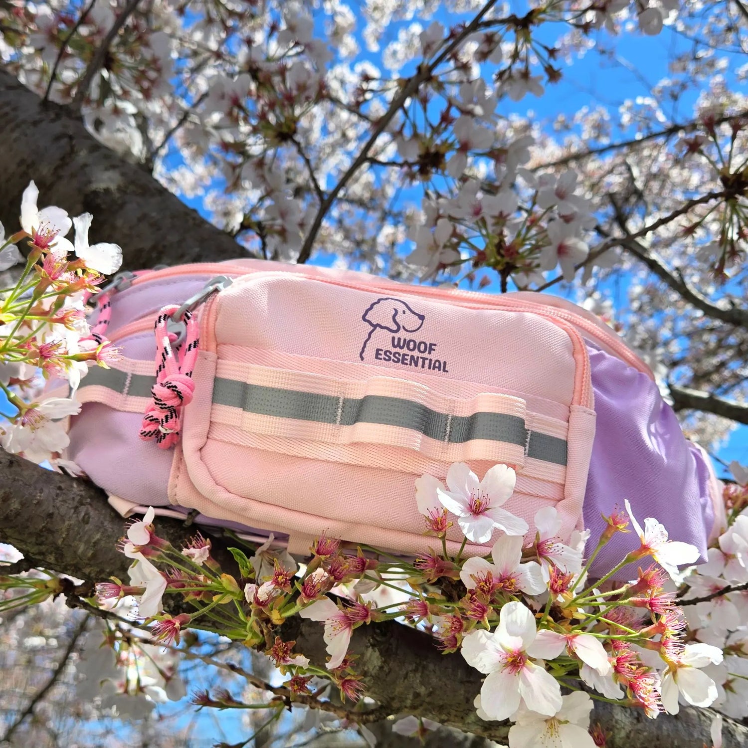 Walk’n Wag Hip Pack - WOOFESSENTIAL
