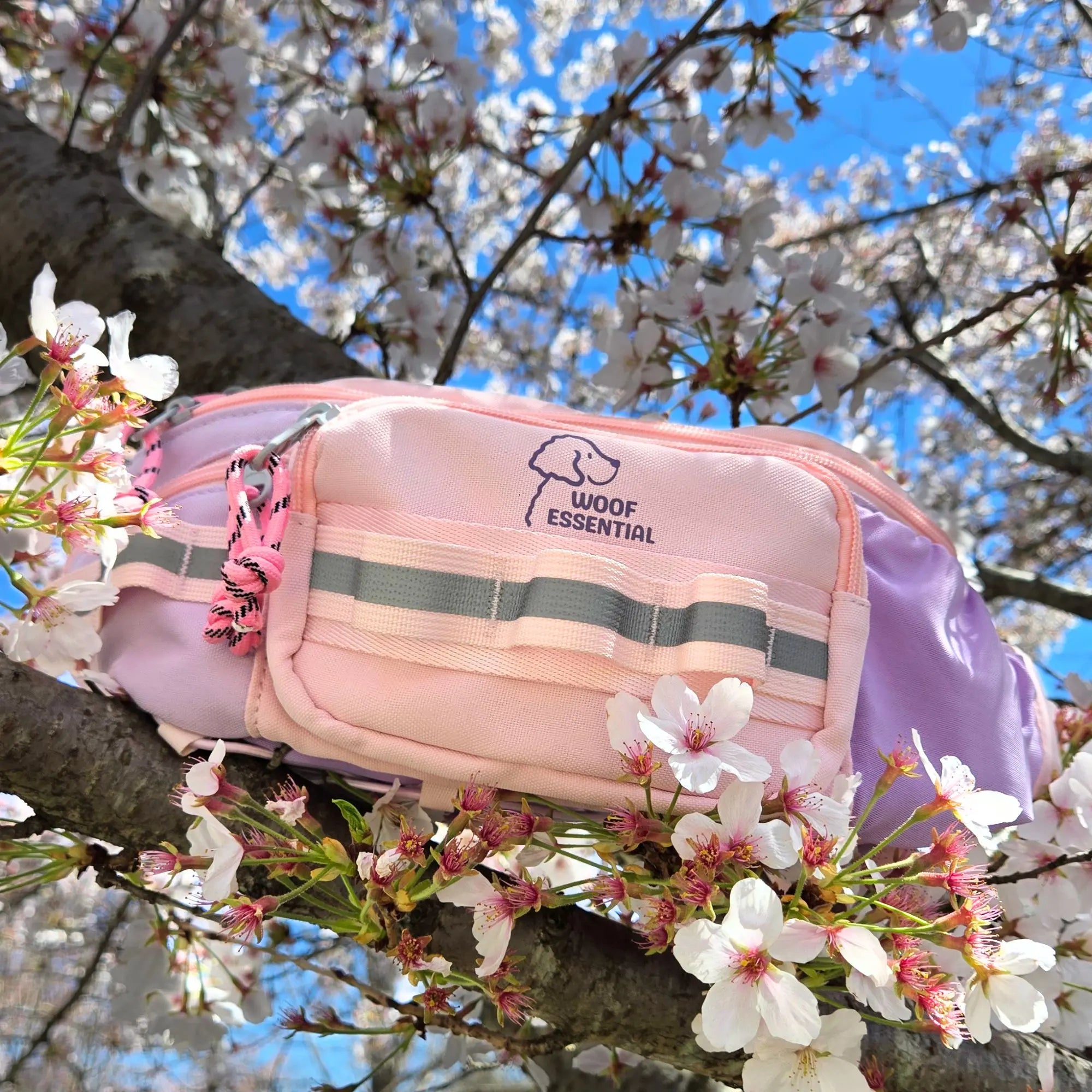 Walk’n Wag Hip Pack - WOOFESSENTIAL