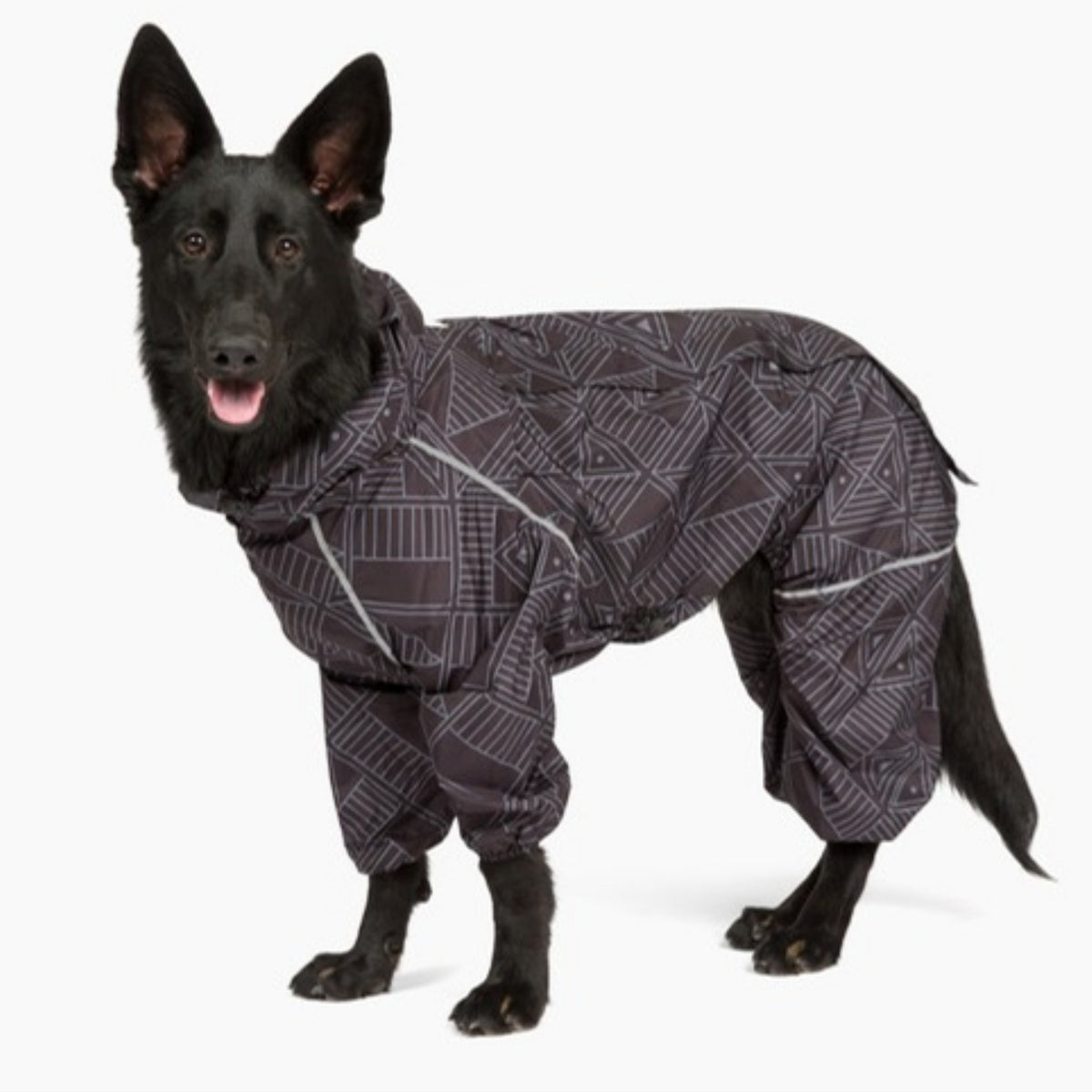 Black shepherd in the Eclipse Puddle Jumper dog raincoat, side view