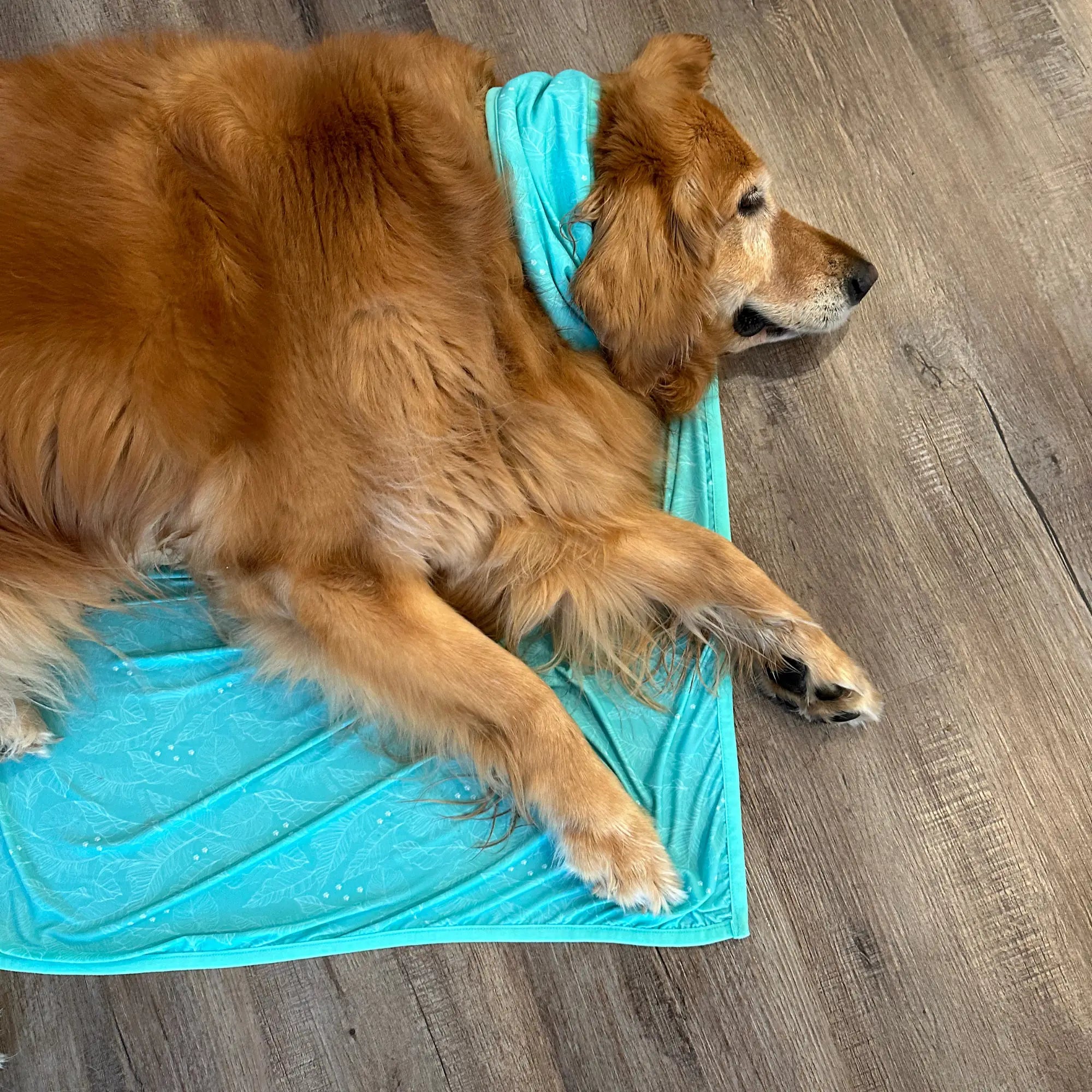 coolingpals dog cooling sheet - WOOFESSENTIAL