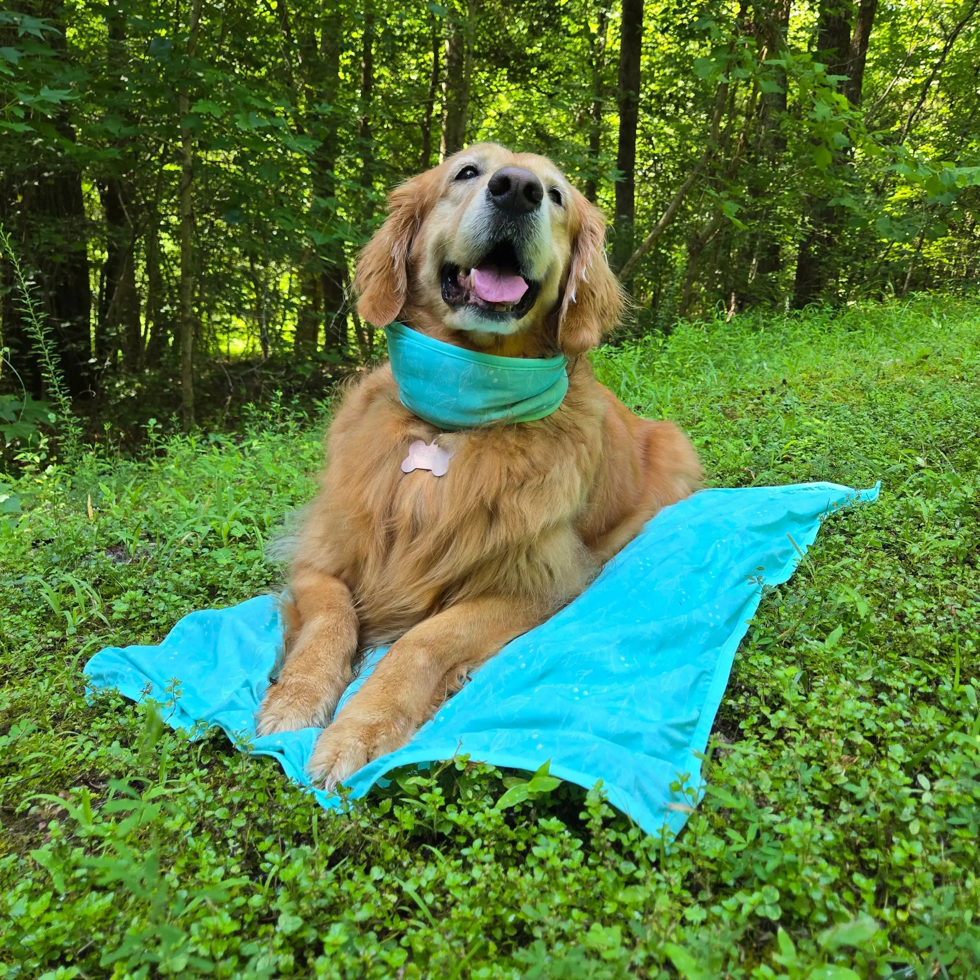 coolingpals dog cooling sheet - WOOFESSENTIAL