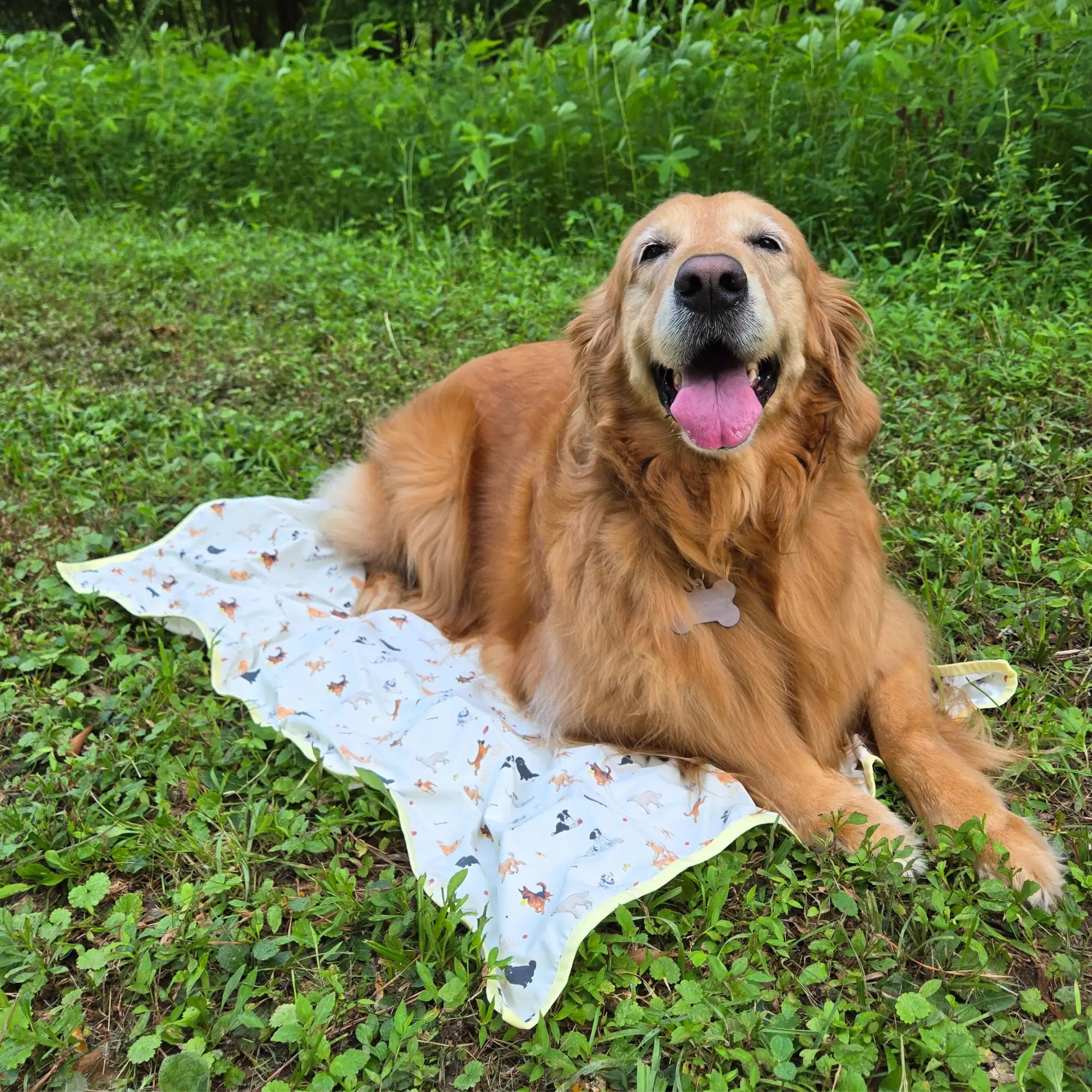 coolingpals dog cooling sheet - WOOFESSENTIAL