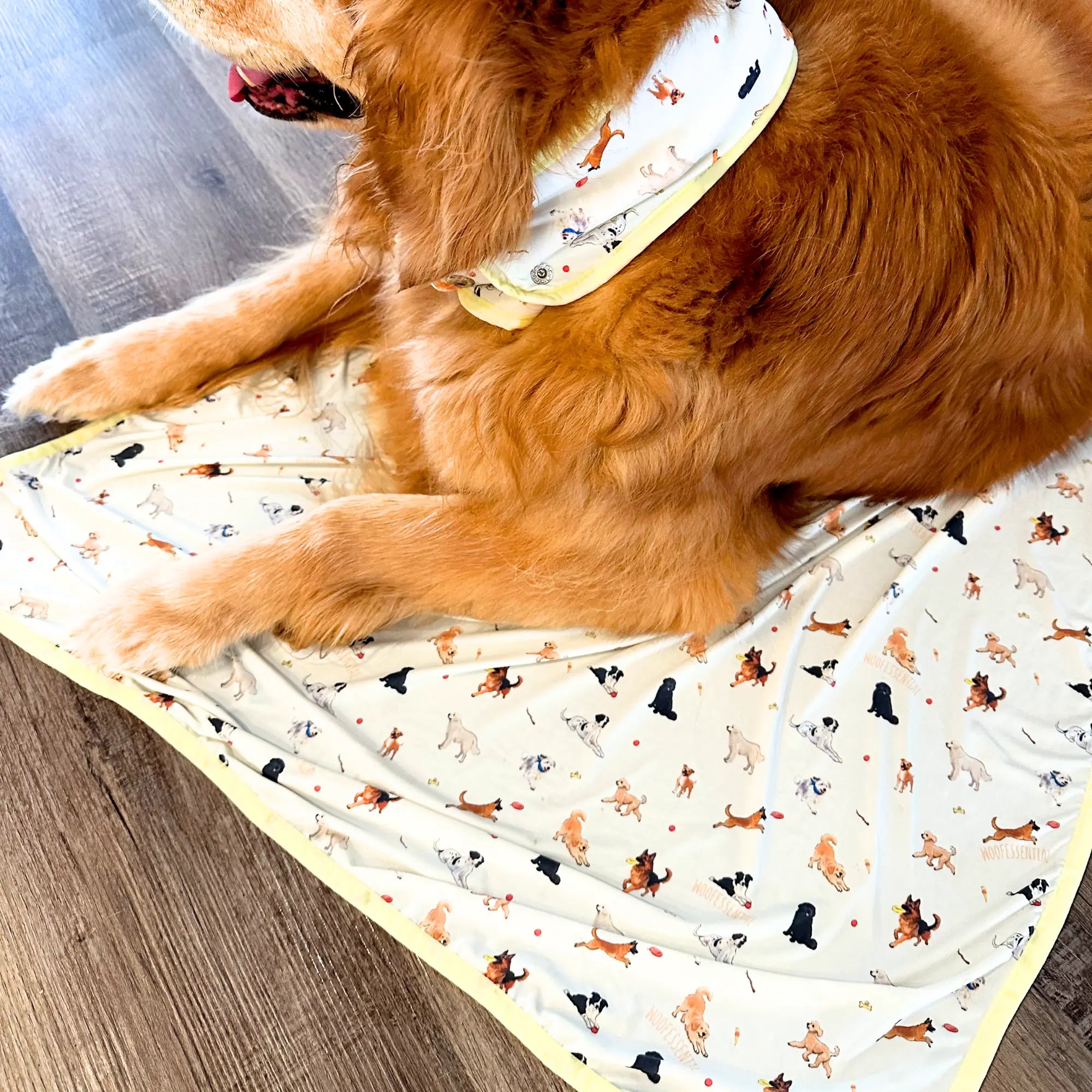 coolingpals dog cooling sheet - WOOFESSENTIAL