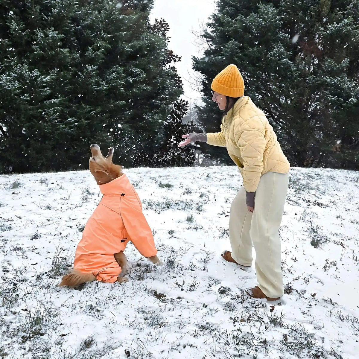 A woman in an orange beanie and her dog in the Sunset snowsuit playing in fresh snow