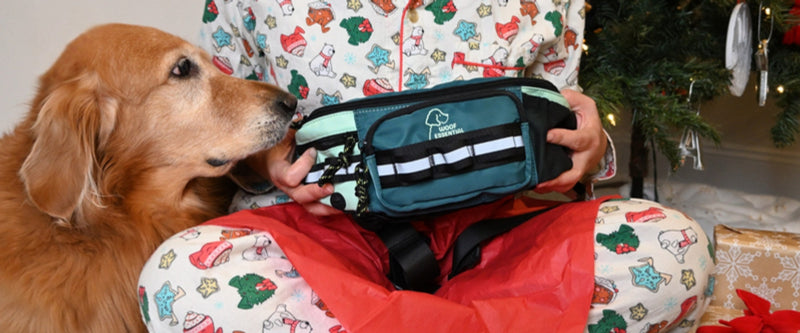 Golden retriever nuzzling a Walk'n Wag Hip Pack 2.0 held by its owner in holiday pajamas by the Christmas tree