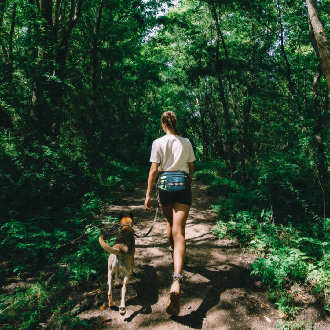 DOG WALKING ESSENTIALS - WOOFESSENTIAL