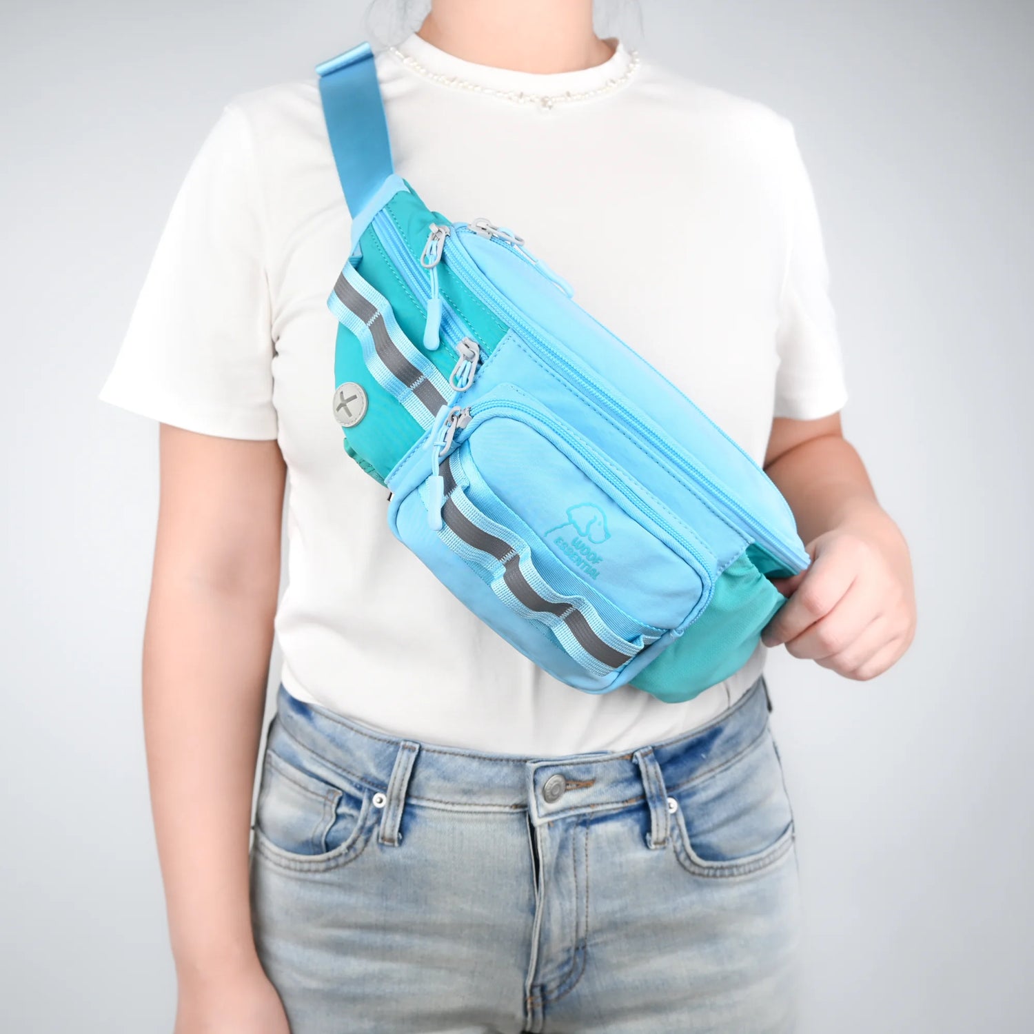 Walk’n Wag Hip Pack V2- WOOFESSENTIAL