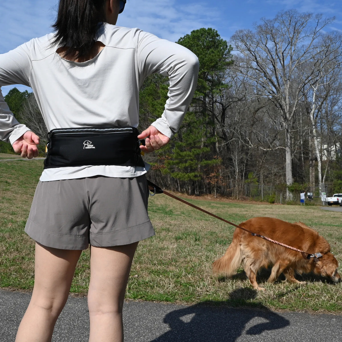 Woman wearing the hands-free running belt while walking a golden retriever