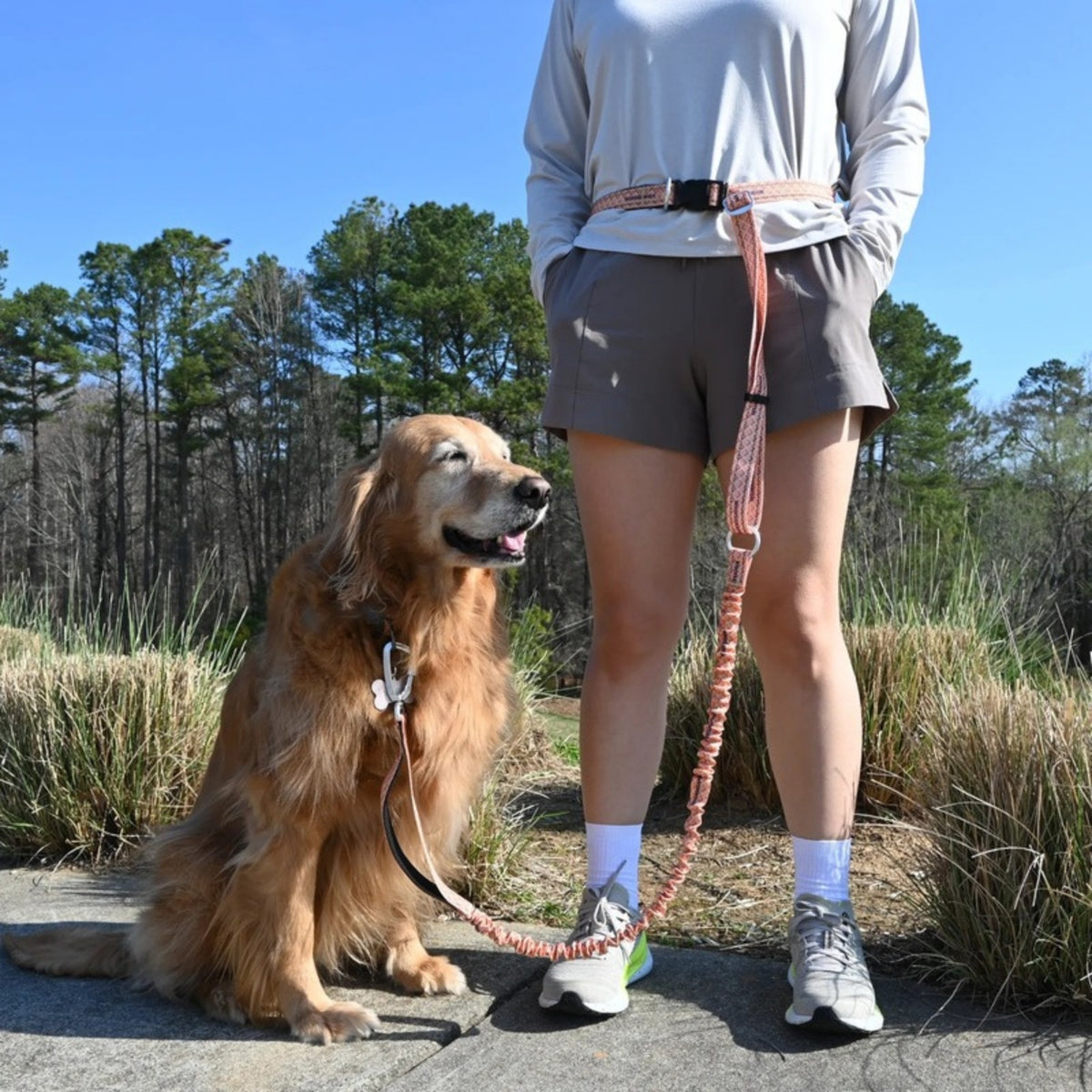 Bungee Leash worn around the waist next to a golden retriever on a walk