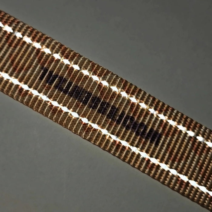 Reflective stitching on the Bungee Leash webbing