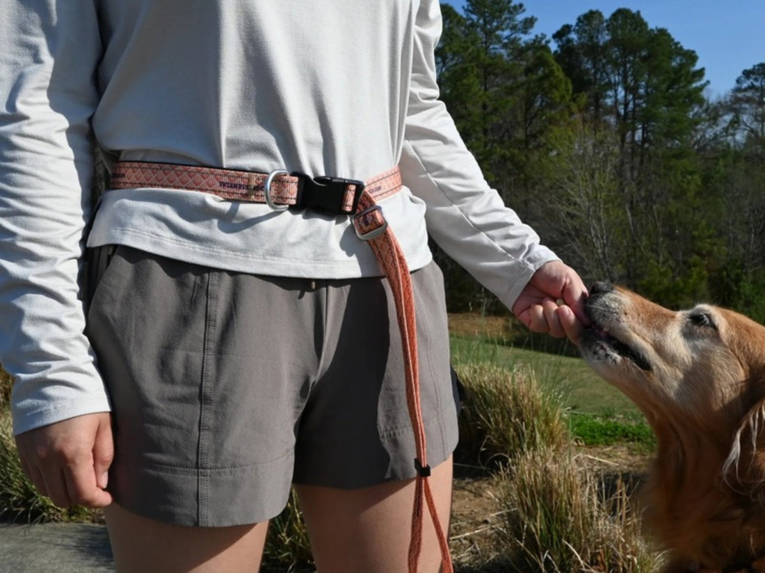 Bungee Leash worn around the waist while giving a golden retriever a treat