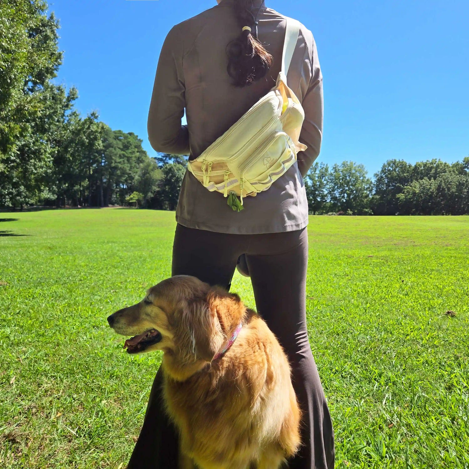 Walk’n Wag Hip Pack V2- WOOFESSENTIAL