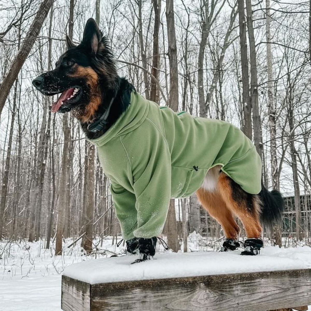 German Shepherd on a snowy bench in the Weald Cozy Hugger fleece jacket