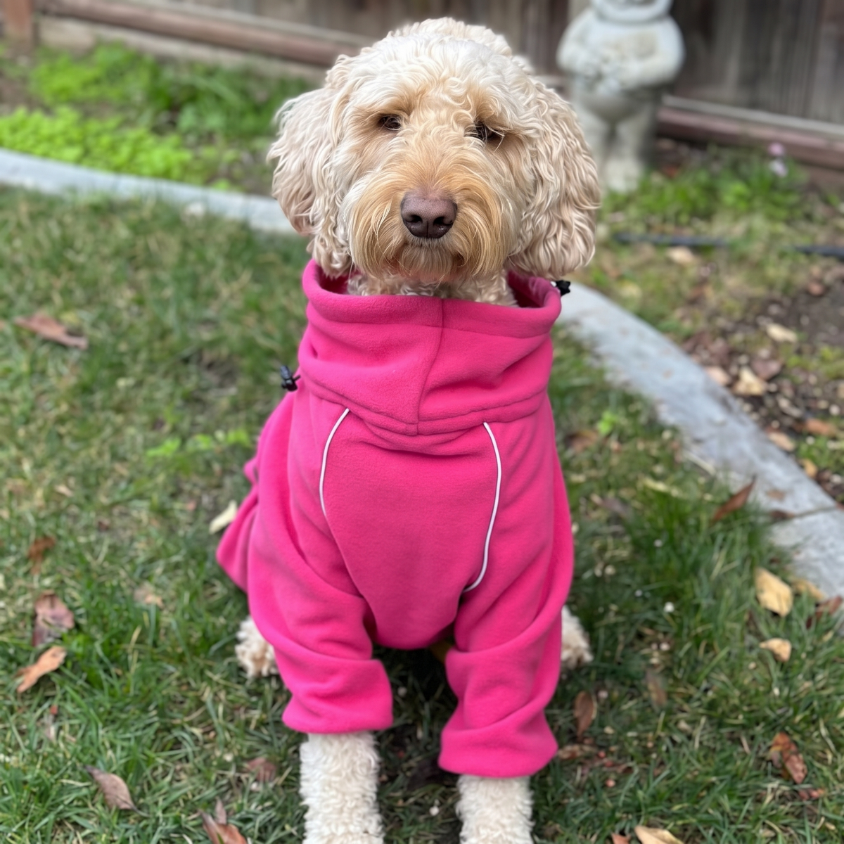Doodle in the backyard wearing the Blossom Cozy Hugger fleece jacket