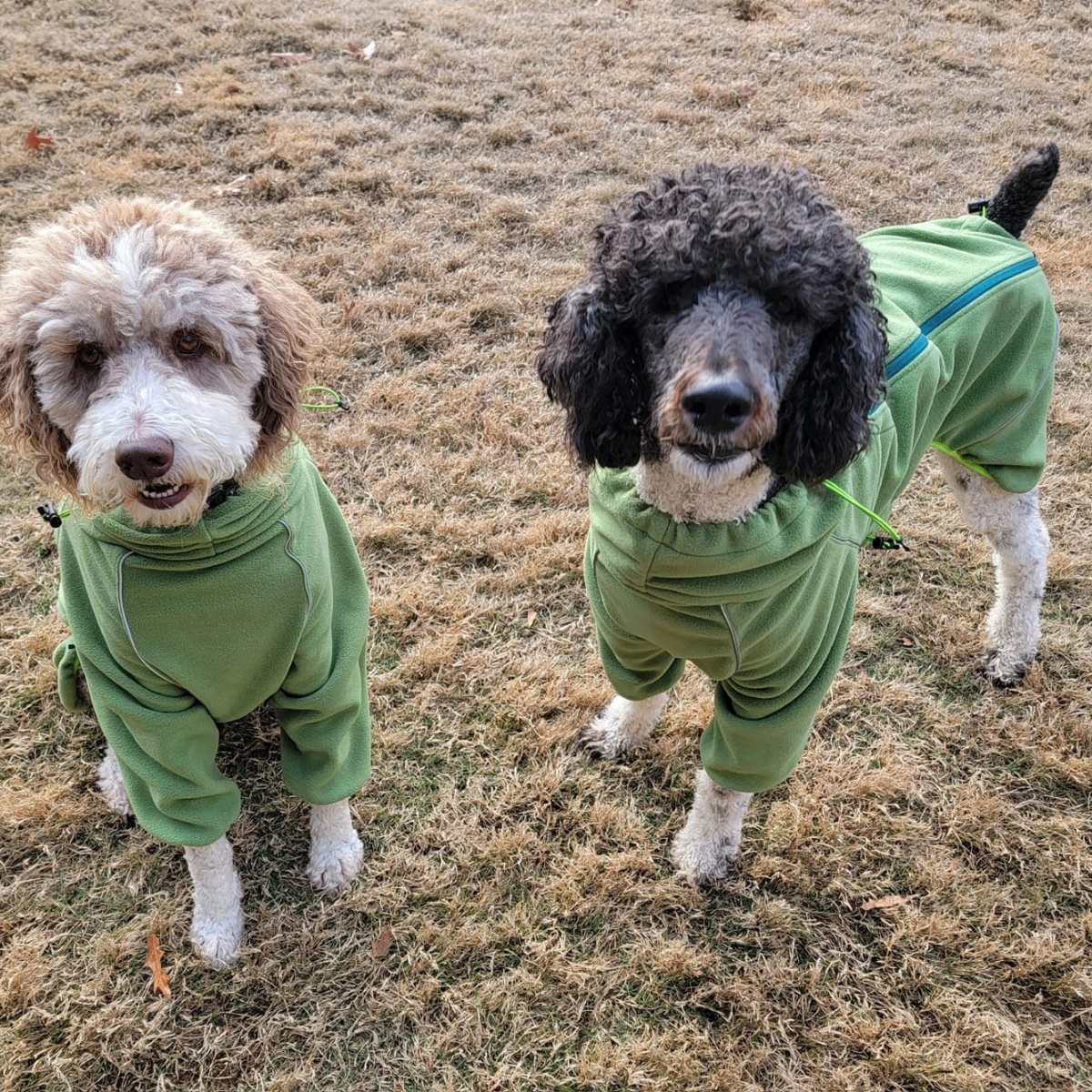 Two doodles wearing Weald Cozy Hugger fleece jackets
