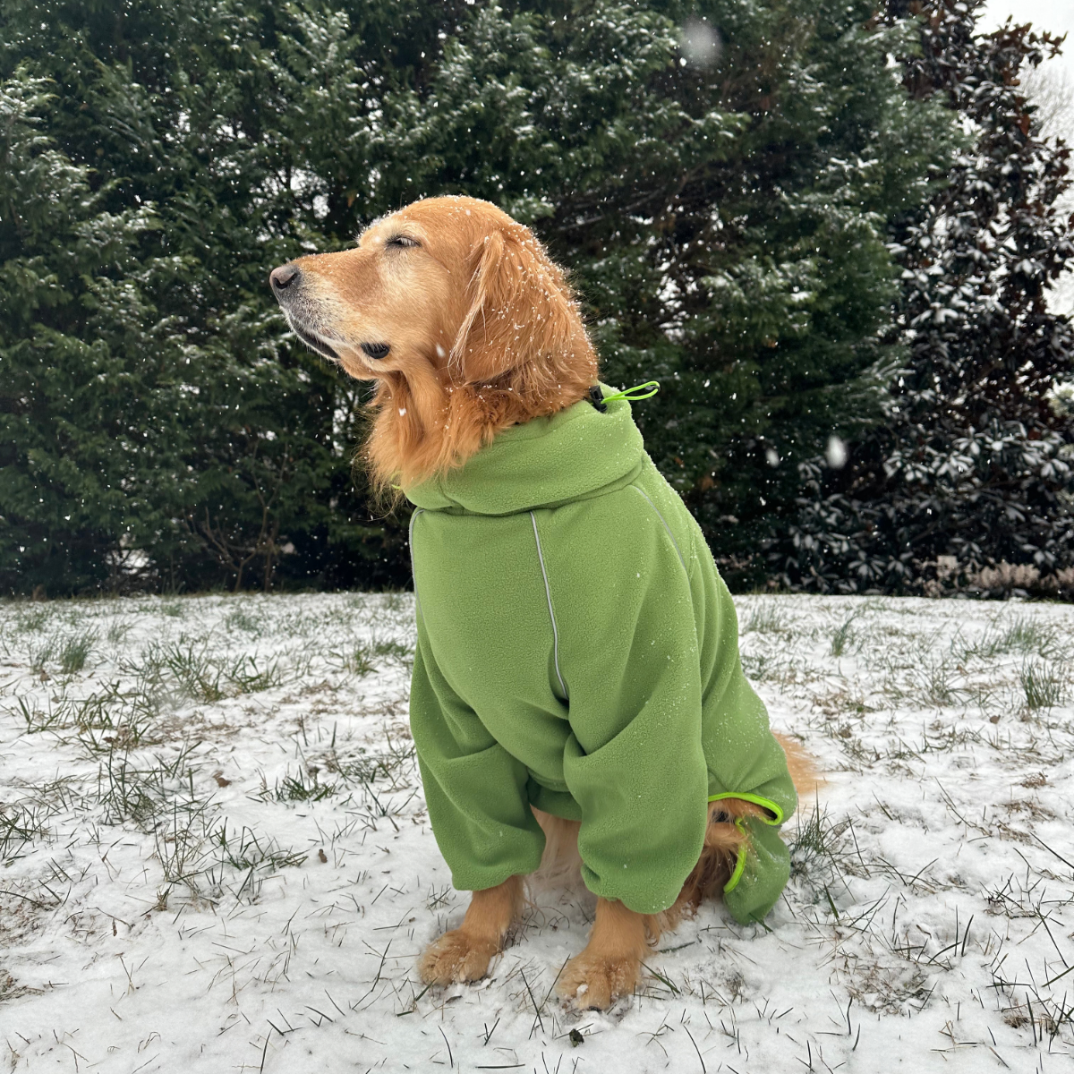 Golden retriever in light snow wearing the Weald Cozy Hugger fleece jacket