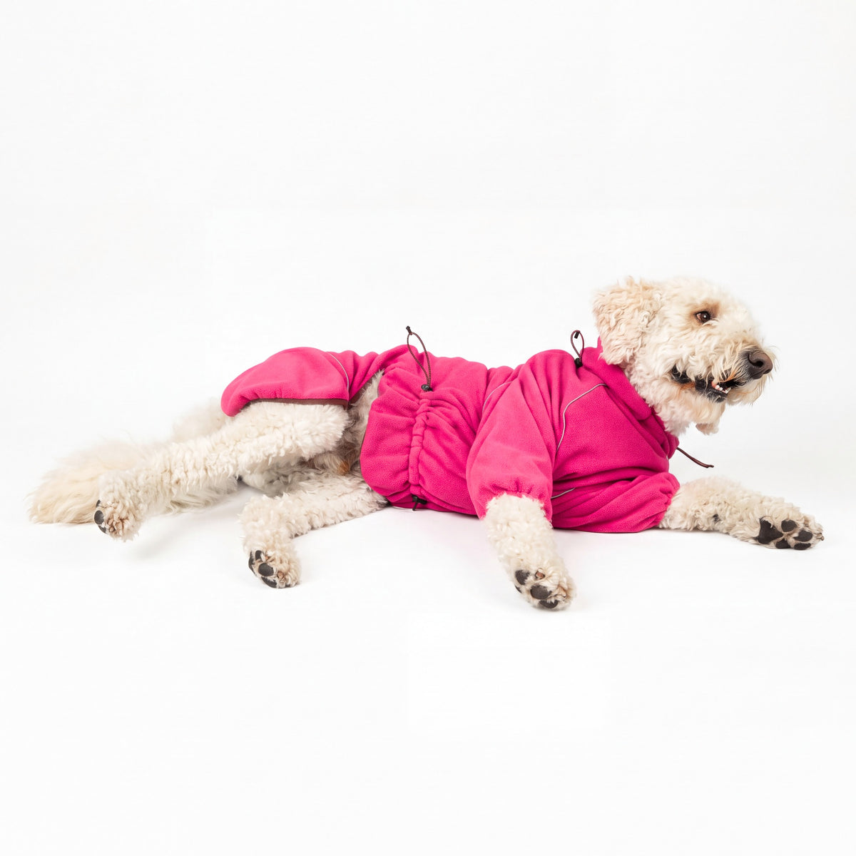 Doodle lying down in the Blossom Cozy Hugger fleece jacket, chest and belly covered 