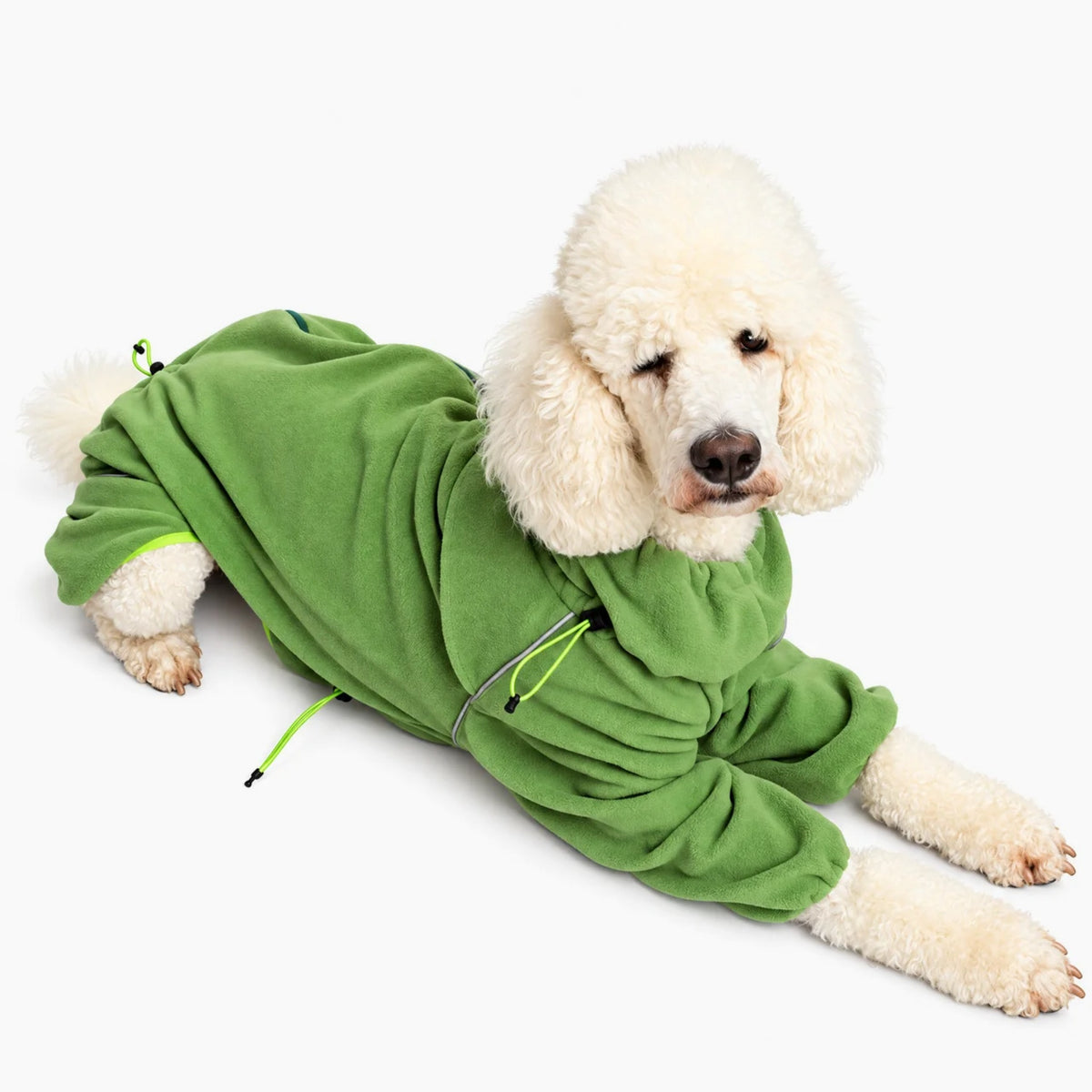 Standard poodle lying down in the Weald Cozy Hugger fleece jacket 