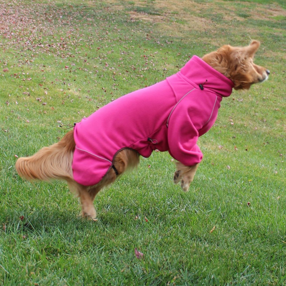 Dog leaping on grass in the Blossom Cozy Hugger fleece jacket, back legs free