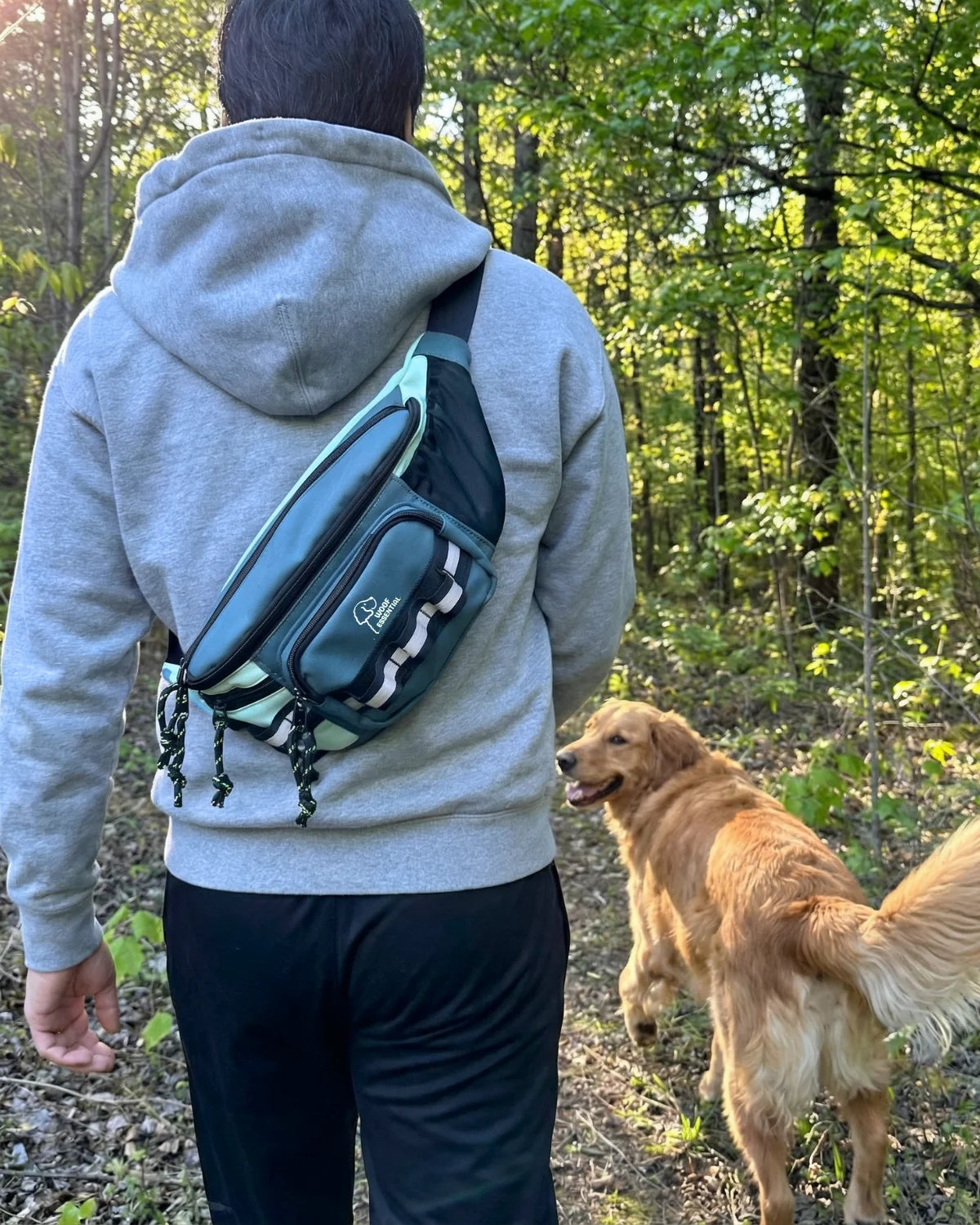 A person on a forest trail wearing the Walk'n Wag dog walking hip pack, golden retriever walking ahead