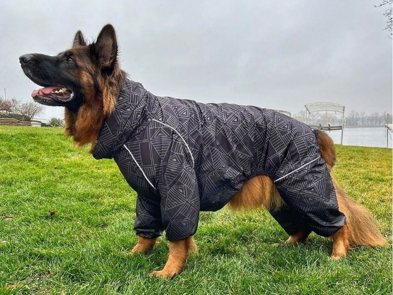 German shepherd shops raincoat