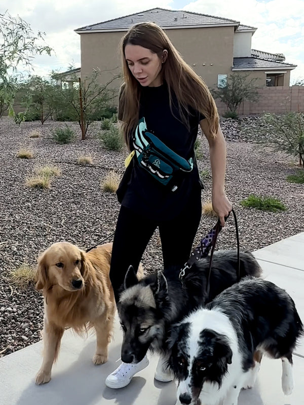 Dog walker wearing the Hip Pack 2.0 with three dogs on leash