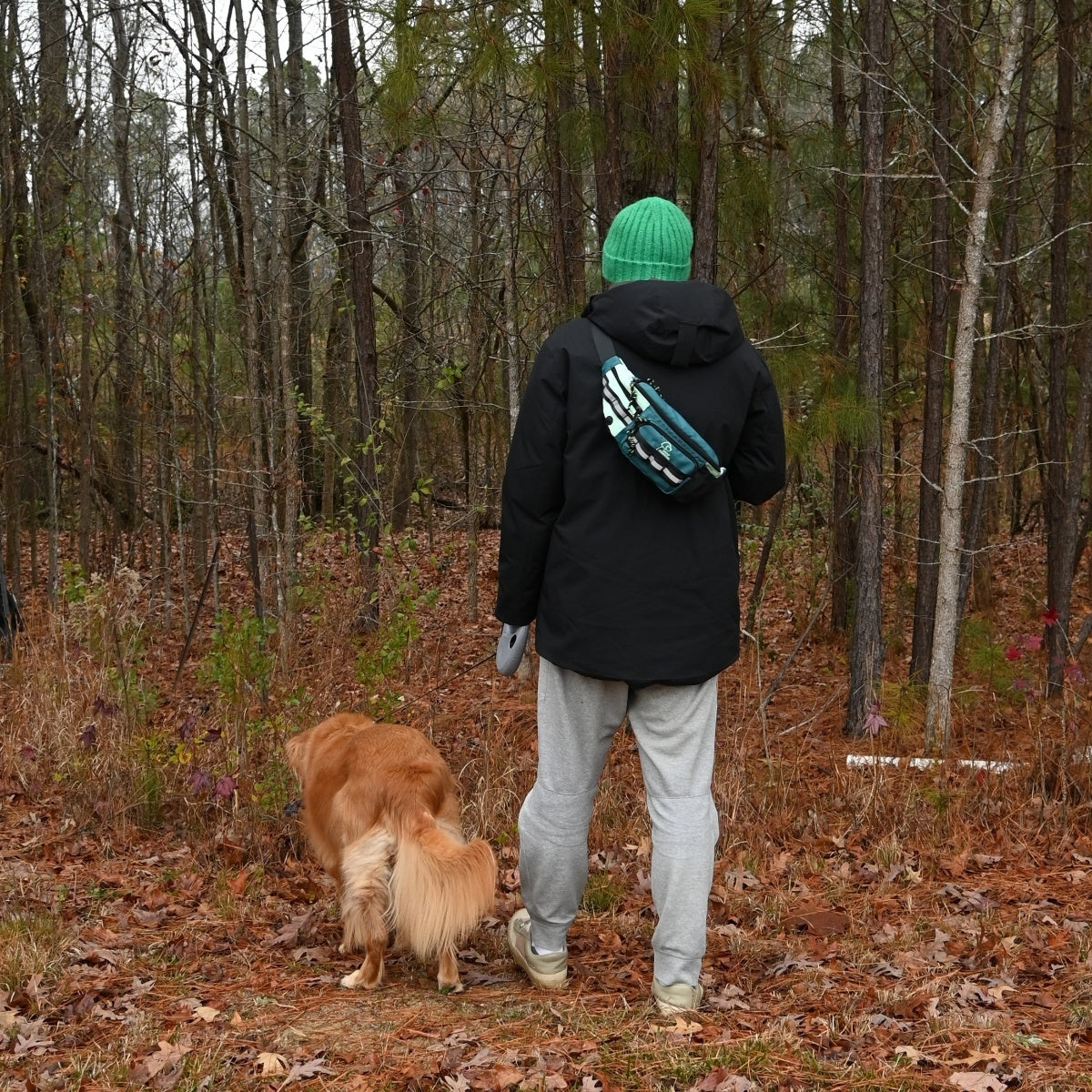 Autumn forest walk with a golden retriever, Hip Pack 2.0 on the back