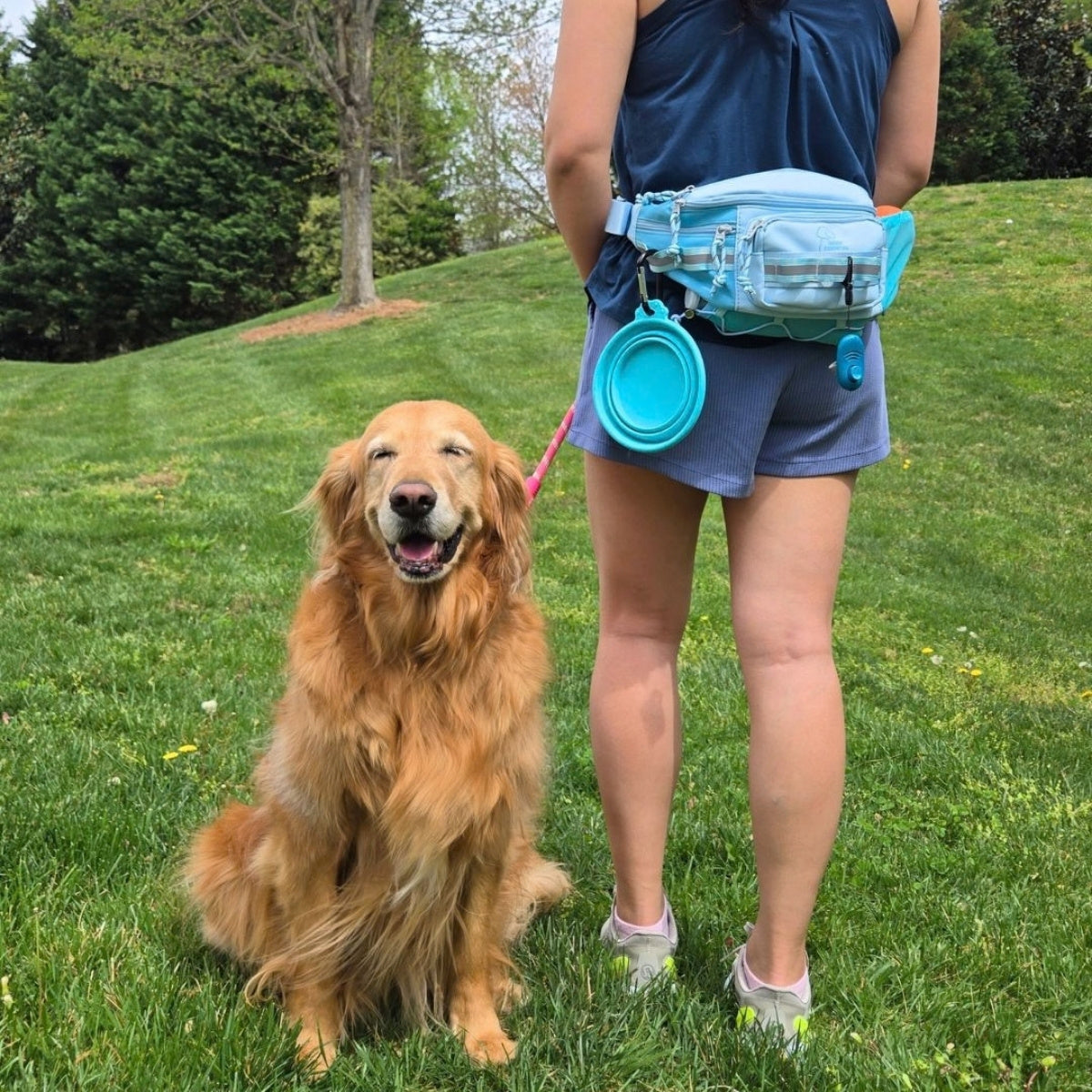 Aqua Hip Pack 2.0 with a collapsible bowl clipped on, next to a golden retriever