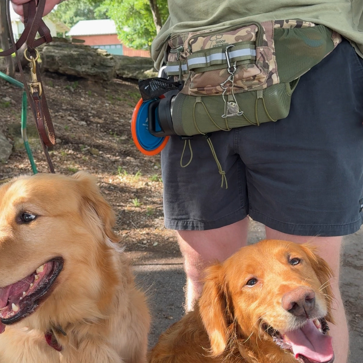 Camo hip pack with a water bottle and clip-ons, two golden retrievers in front
