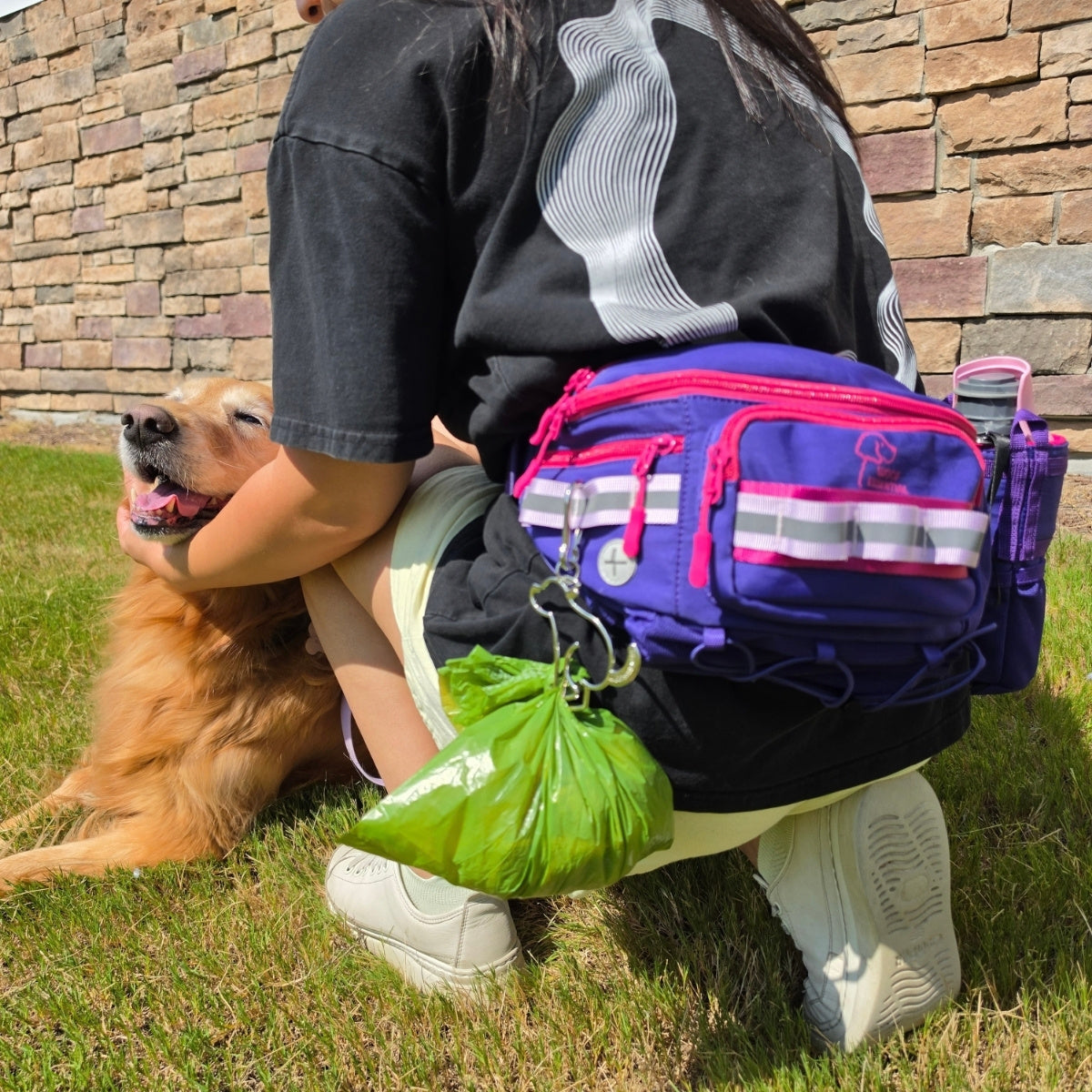 Purple Hip Pack 2.0 with a full poop bag clipped on, golden retriever lying beside