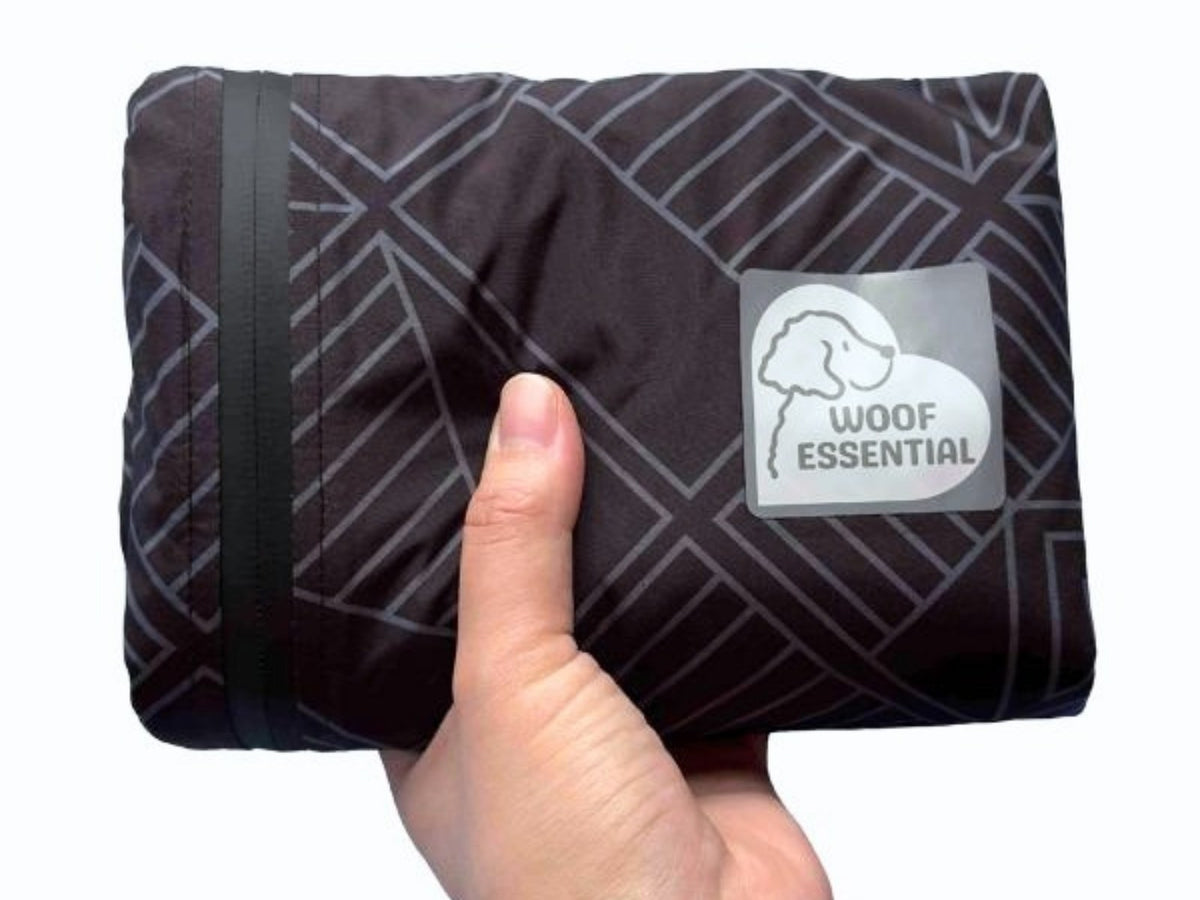 Lightweight packable human raincoat