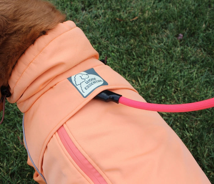 Leash opening