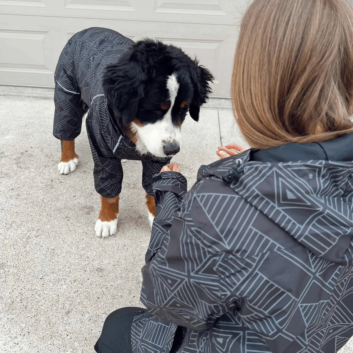 Bernese mountain dog and owner in Eclipse raincoats, back view 