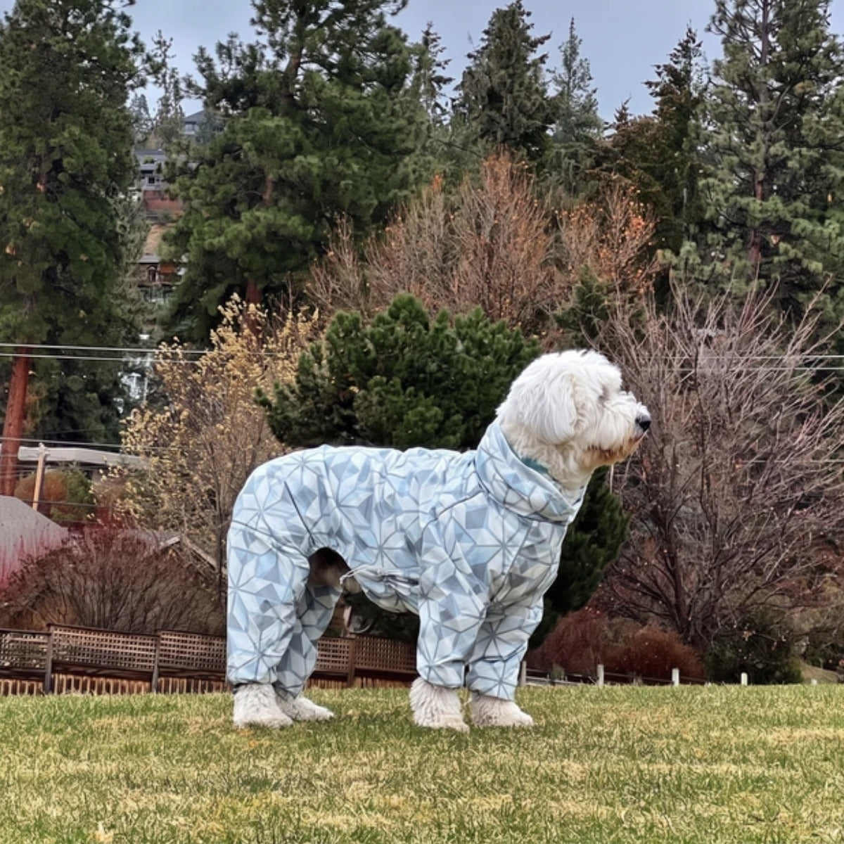Customer photo: dog in the Puddle Jumper raincoat