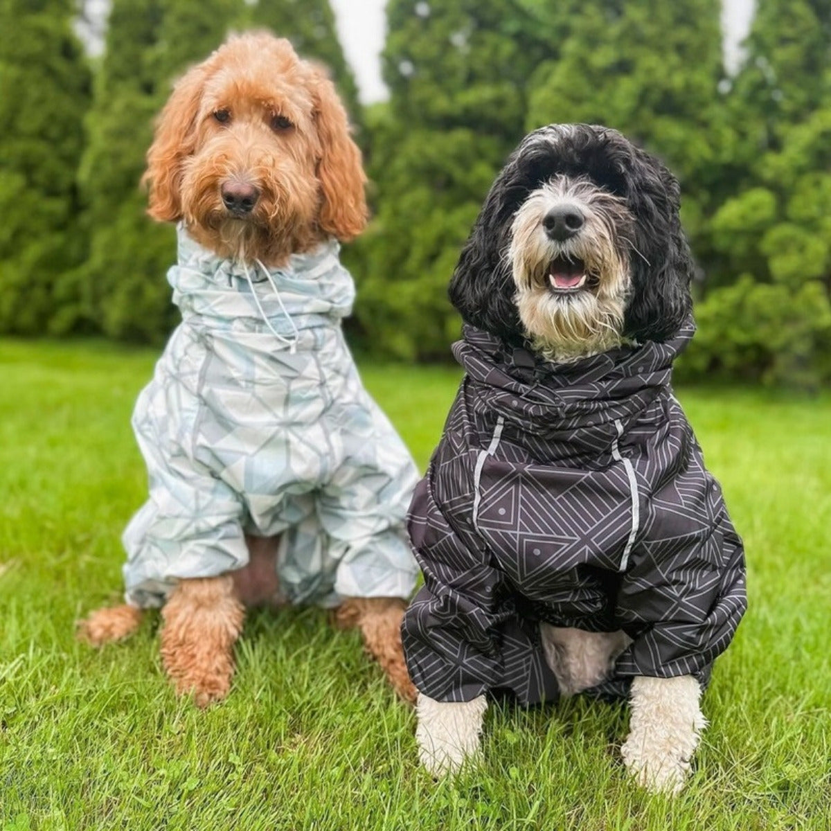 Customer photo: dog in the Puddle Jumper raincoat