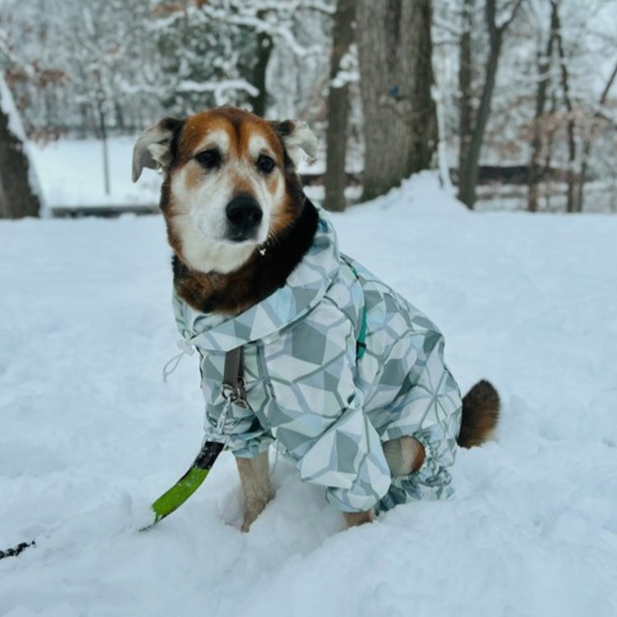 Customer photo: dog in the Puddle Jumper raincoat