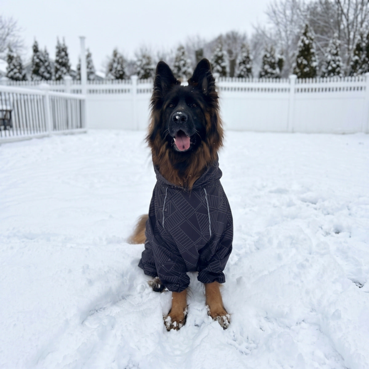 Customer photo: dog in the Puddle Jumper raincoat