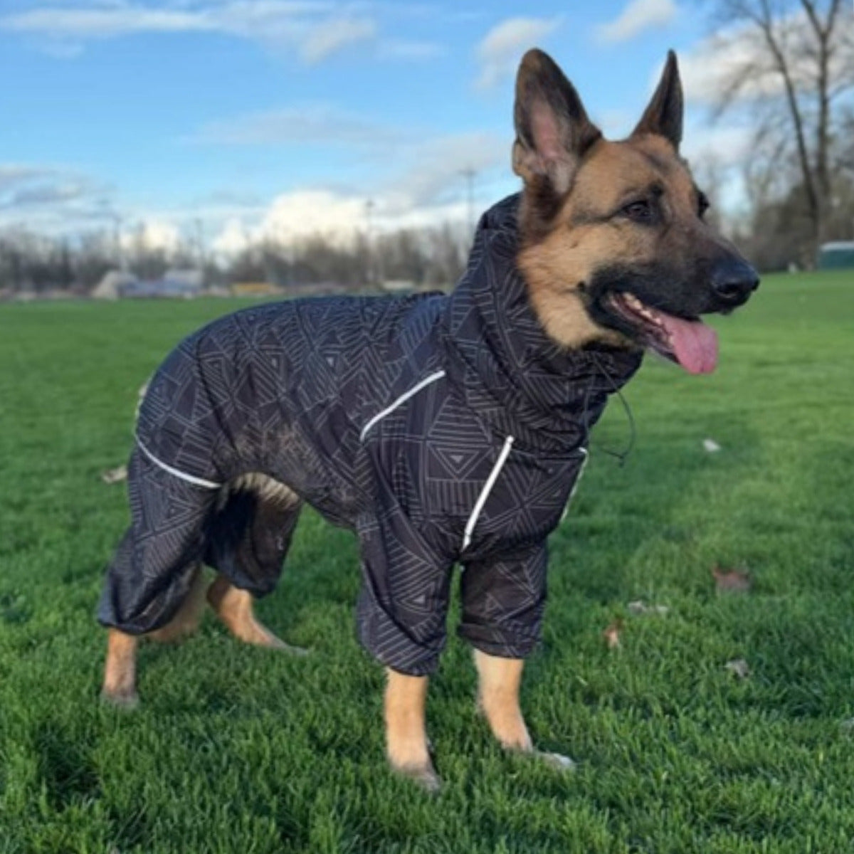 Customer photo: dog in the Puddle Jumper raincoat