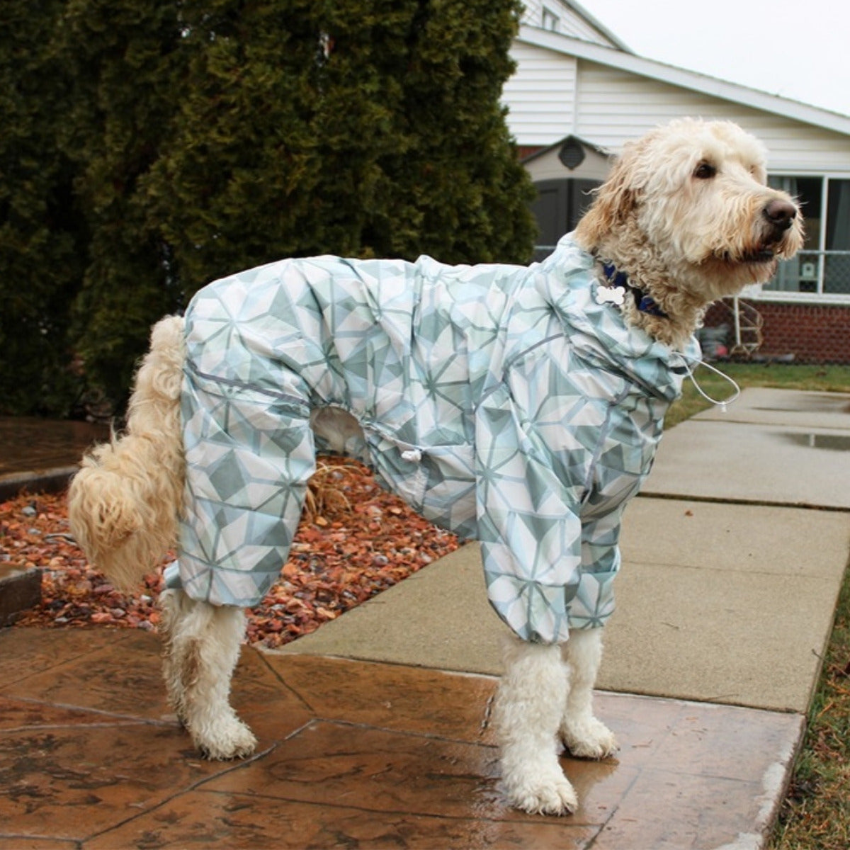 Customer photo: dog in the Puddle Jumper raincoat